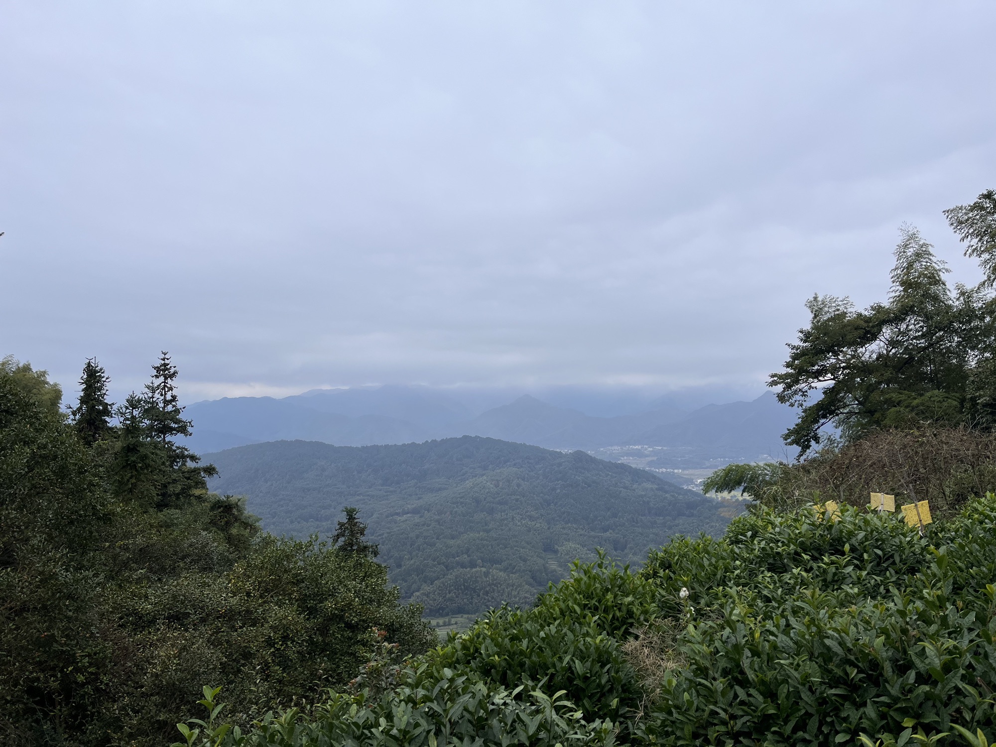 木坑竹海旅行图片 3