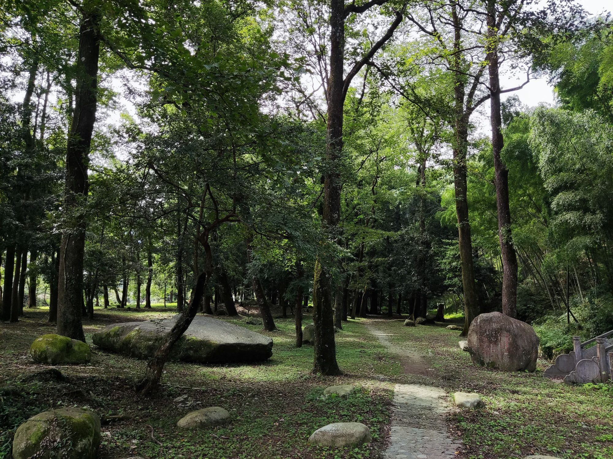 新安源古林公园旅行图片 2