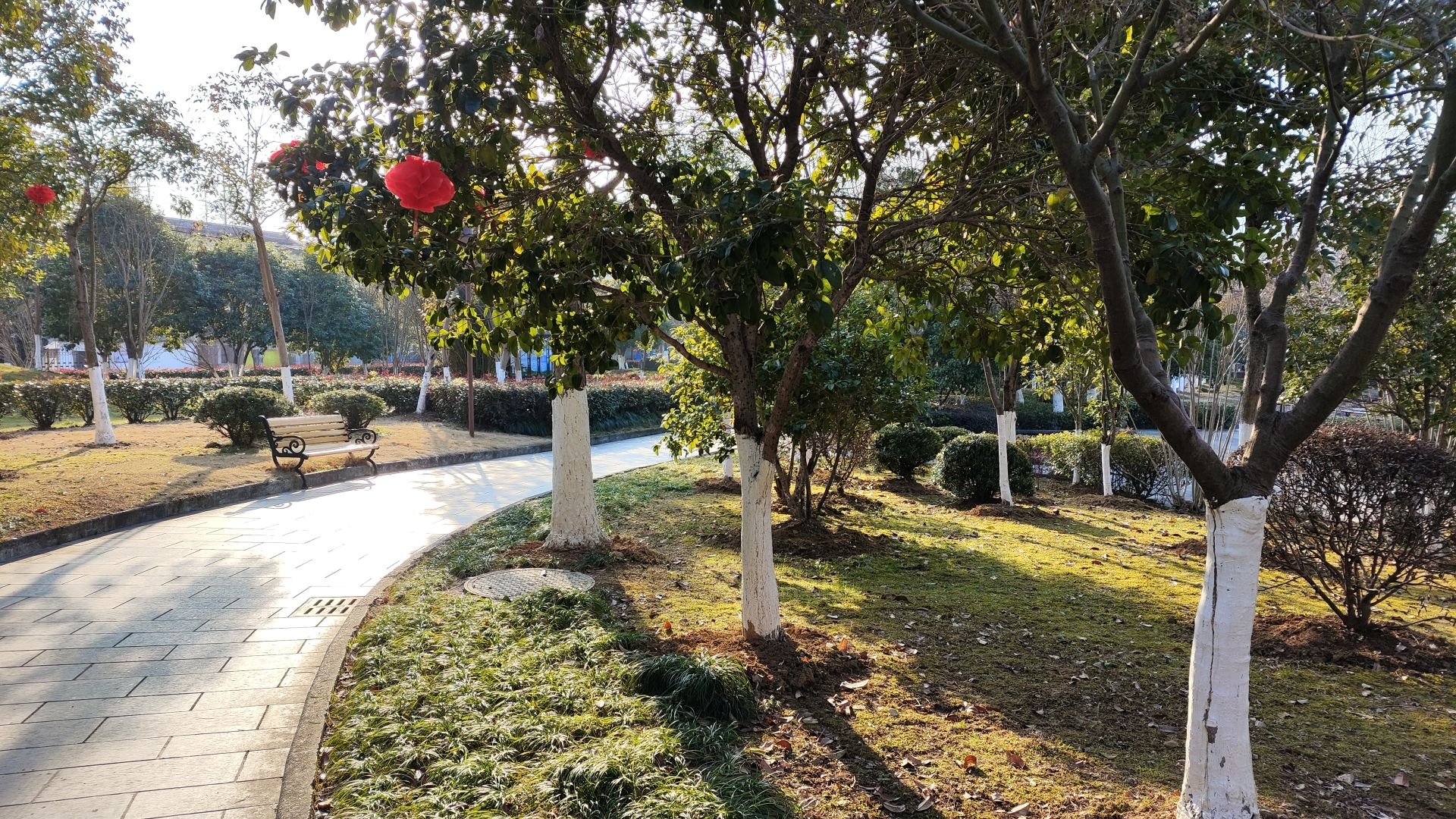 凤凰湖公园旅行图片 1