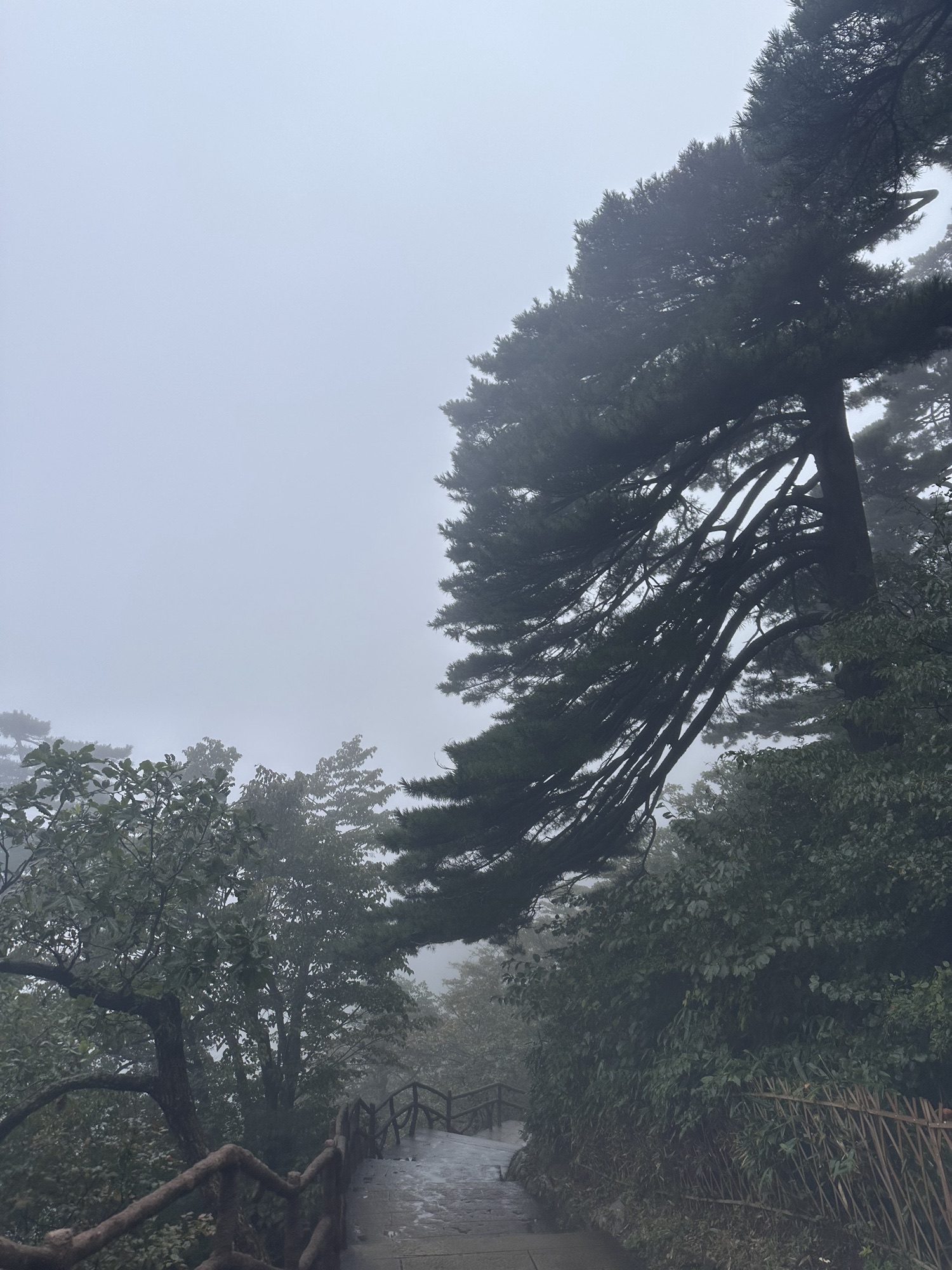 黄山风景区旅行图片 2