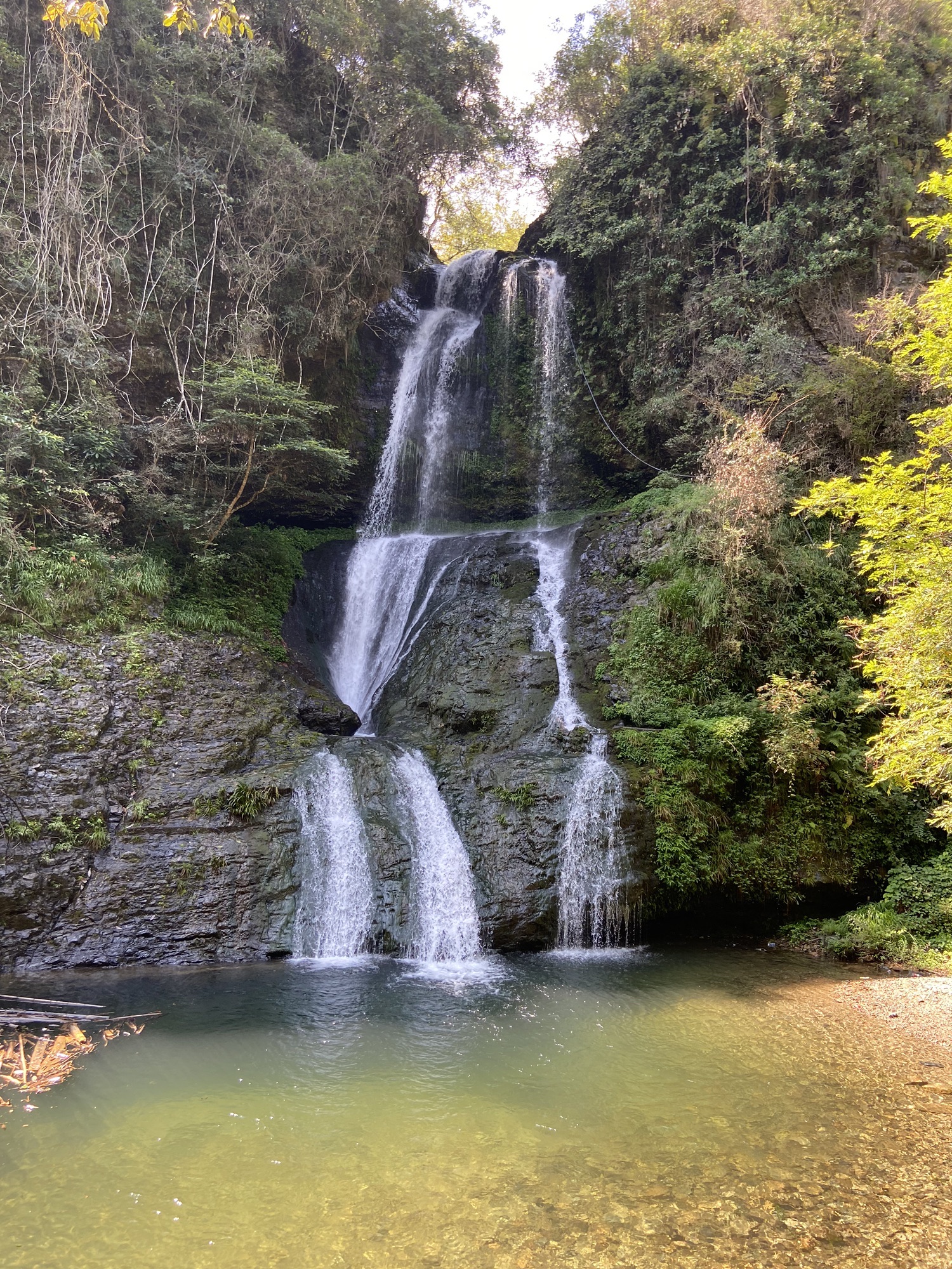 打鼓岭景区旅行图片 1