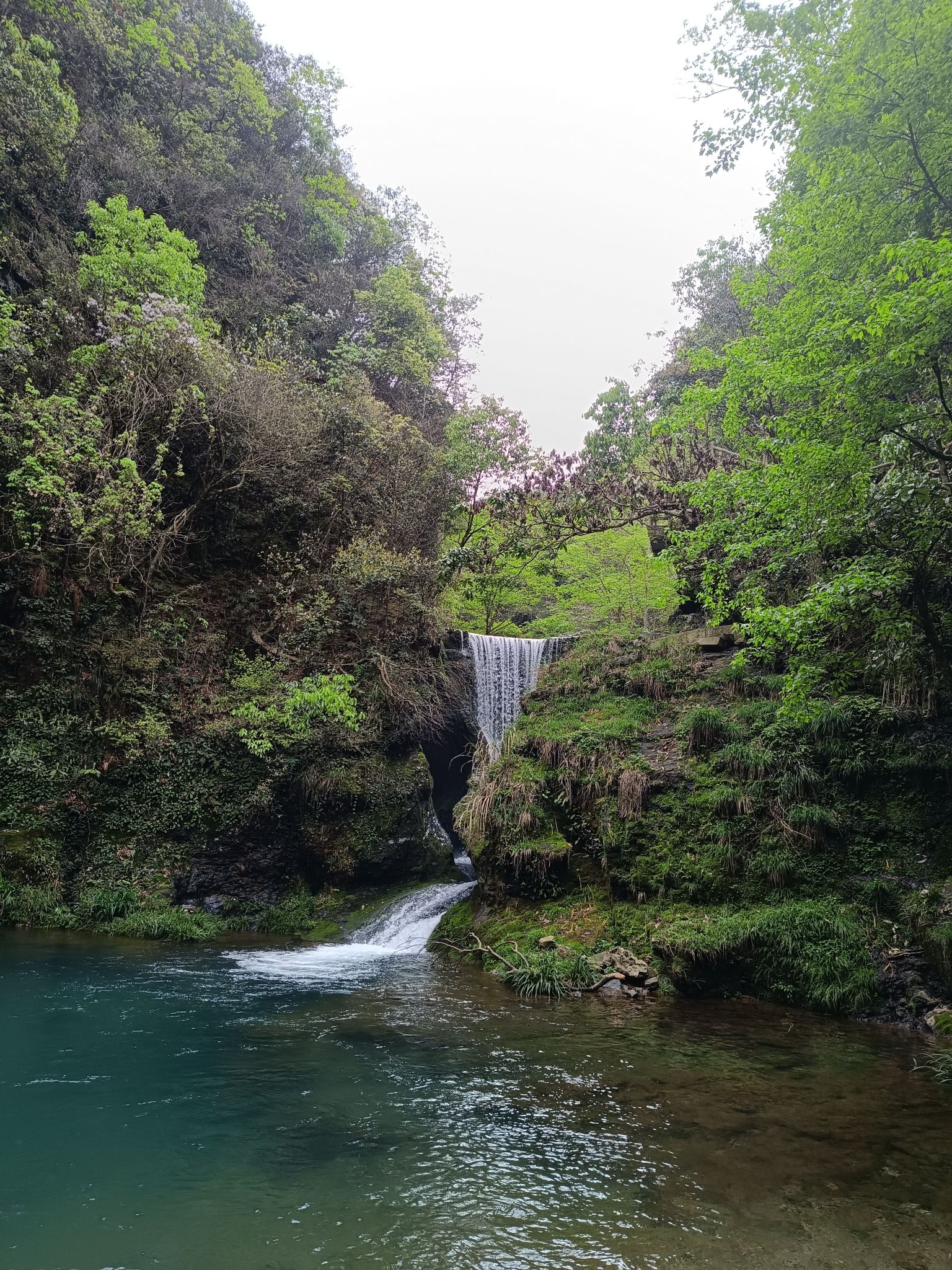 打鼓岭景区旅行图片 2
