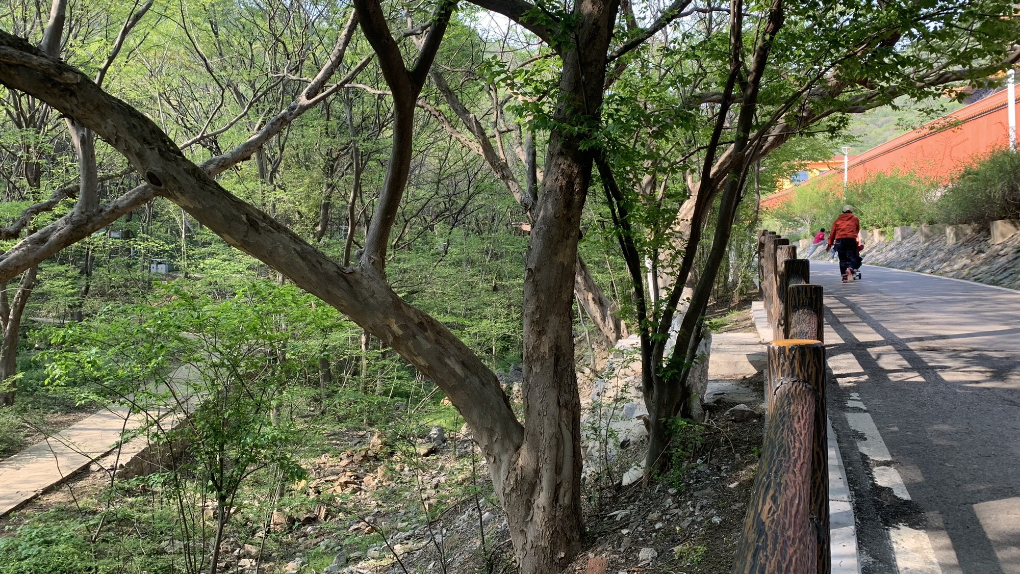 相山国家森林公园旅行图片 2