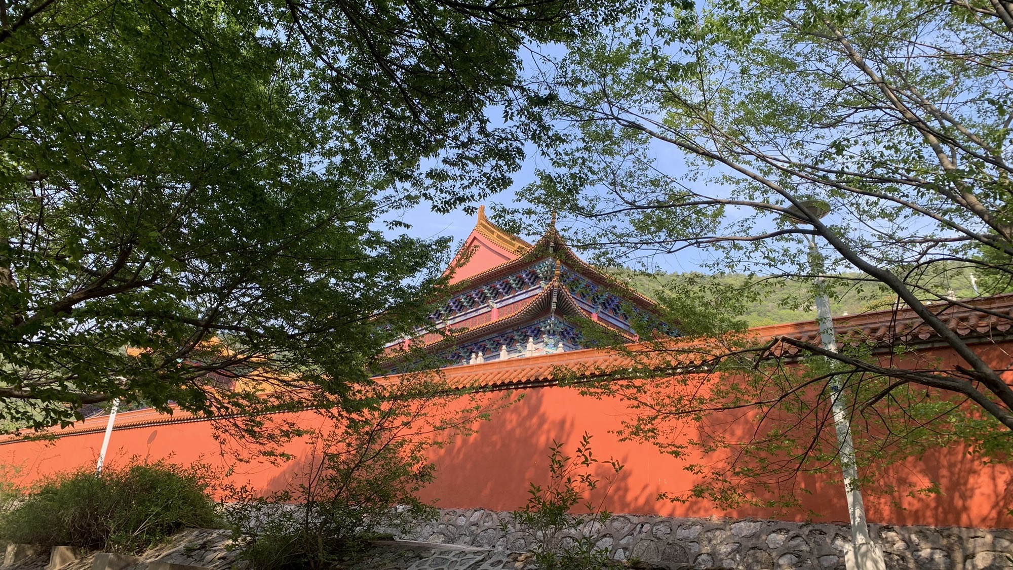 相山国家森林公园旅行图片 3