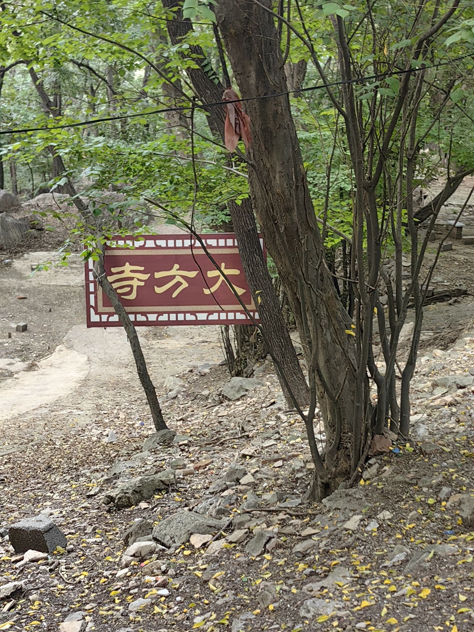 龙脊山自然风景区旅行图片 1
