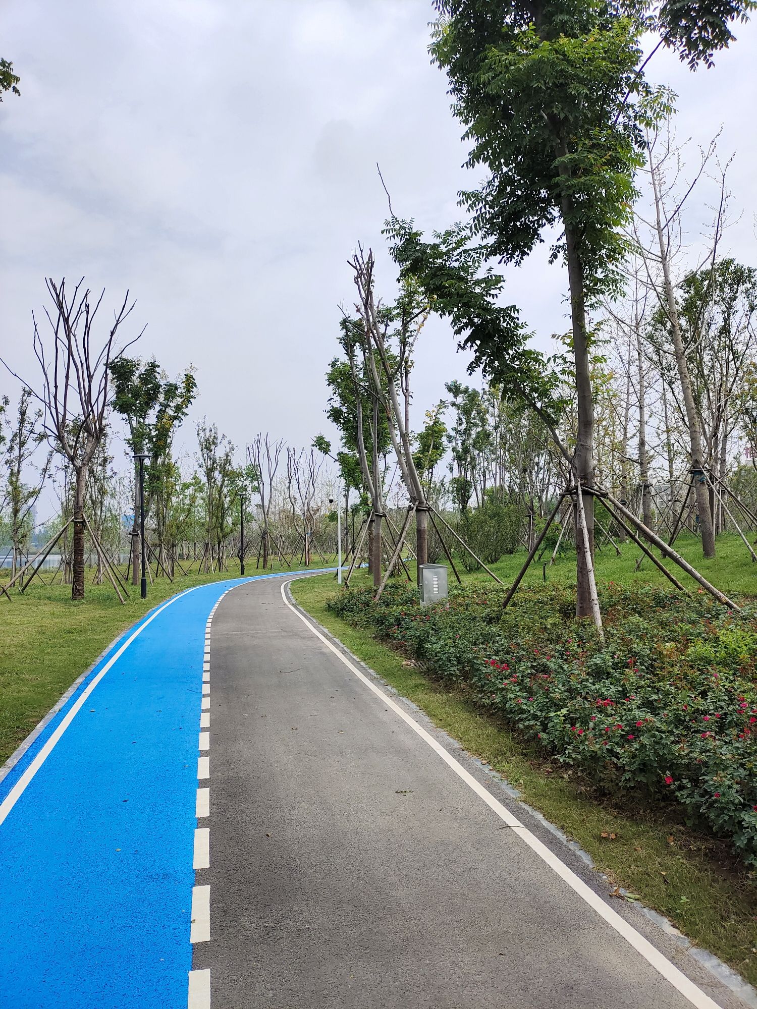 相湖公园旅行图片 1