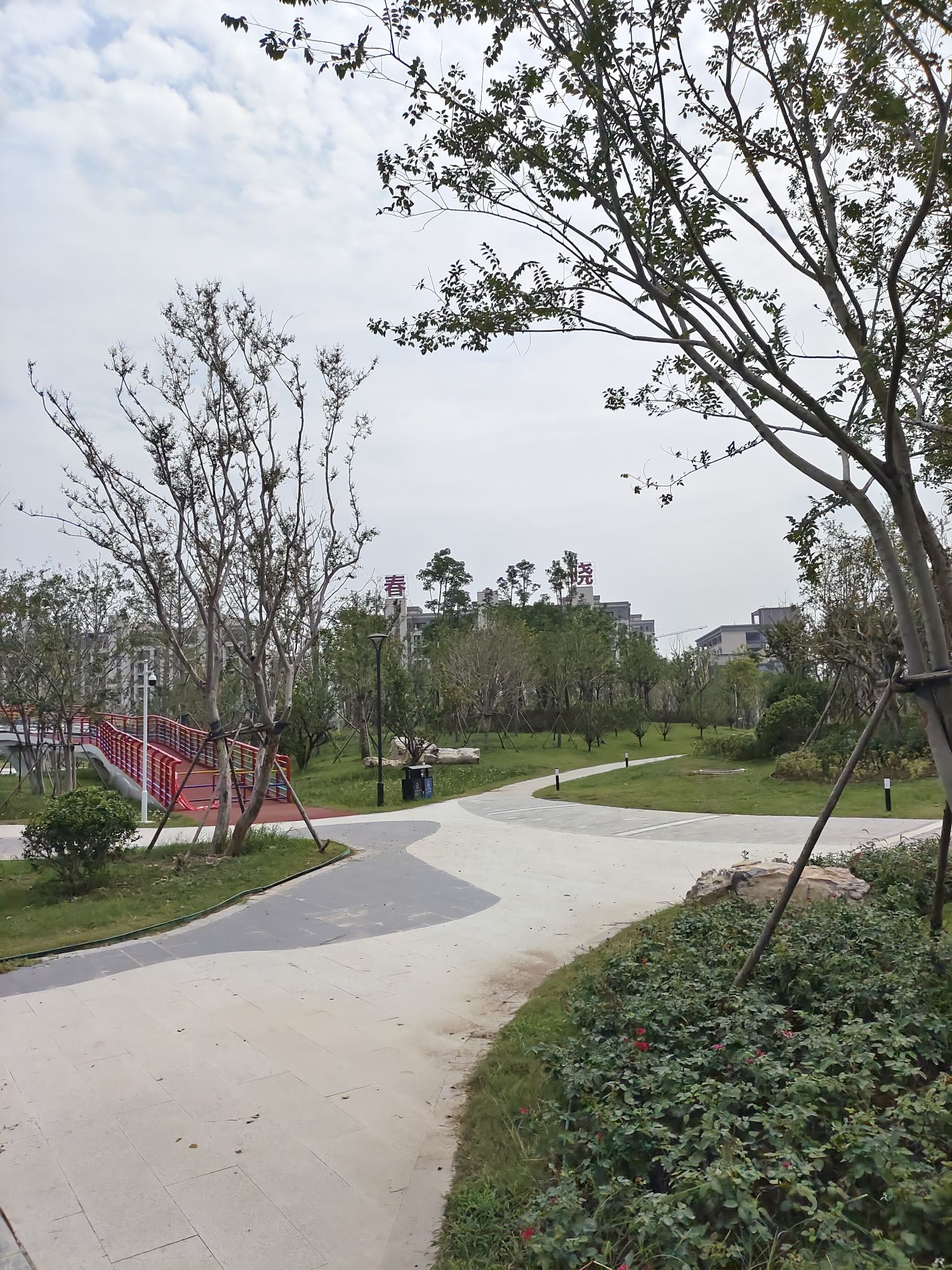 相湖公园旅行图片 3