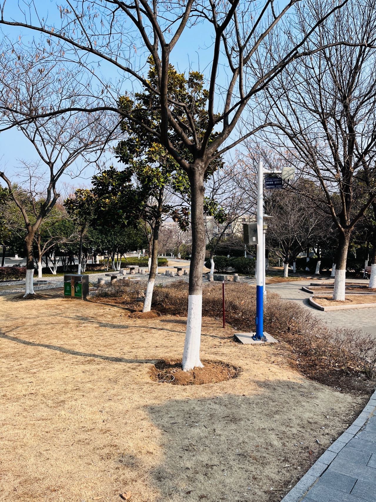 惠泽公园旅行图片 1