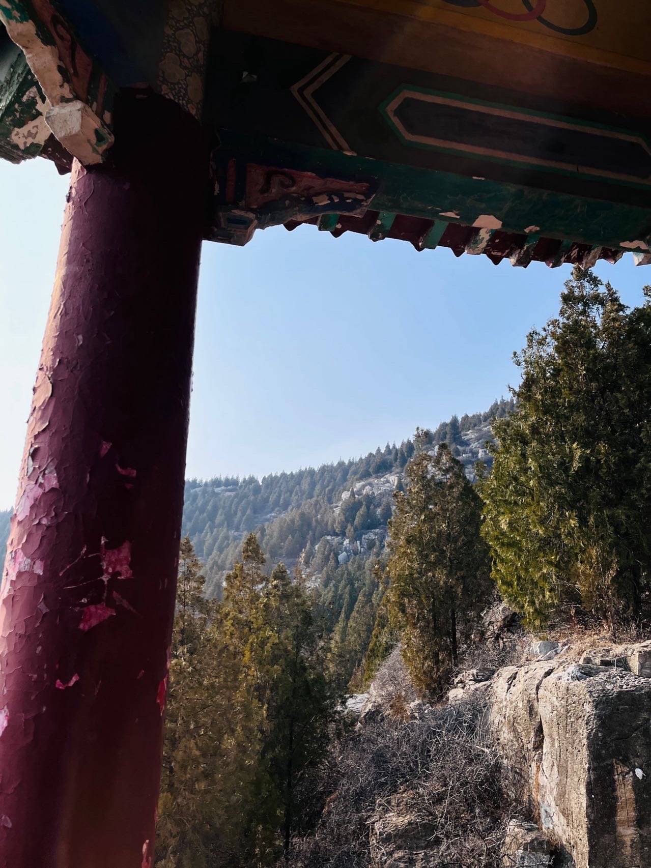 惠泽公园旅行图片 3