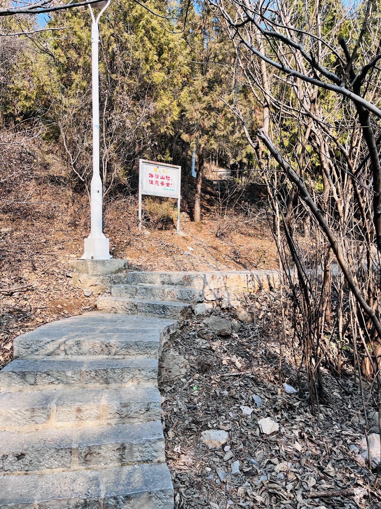 惠泽公园旅行图片 2