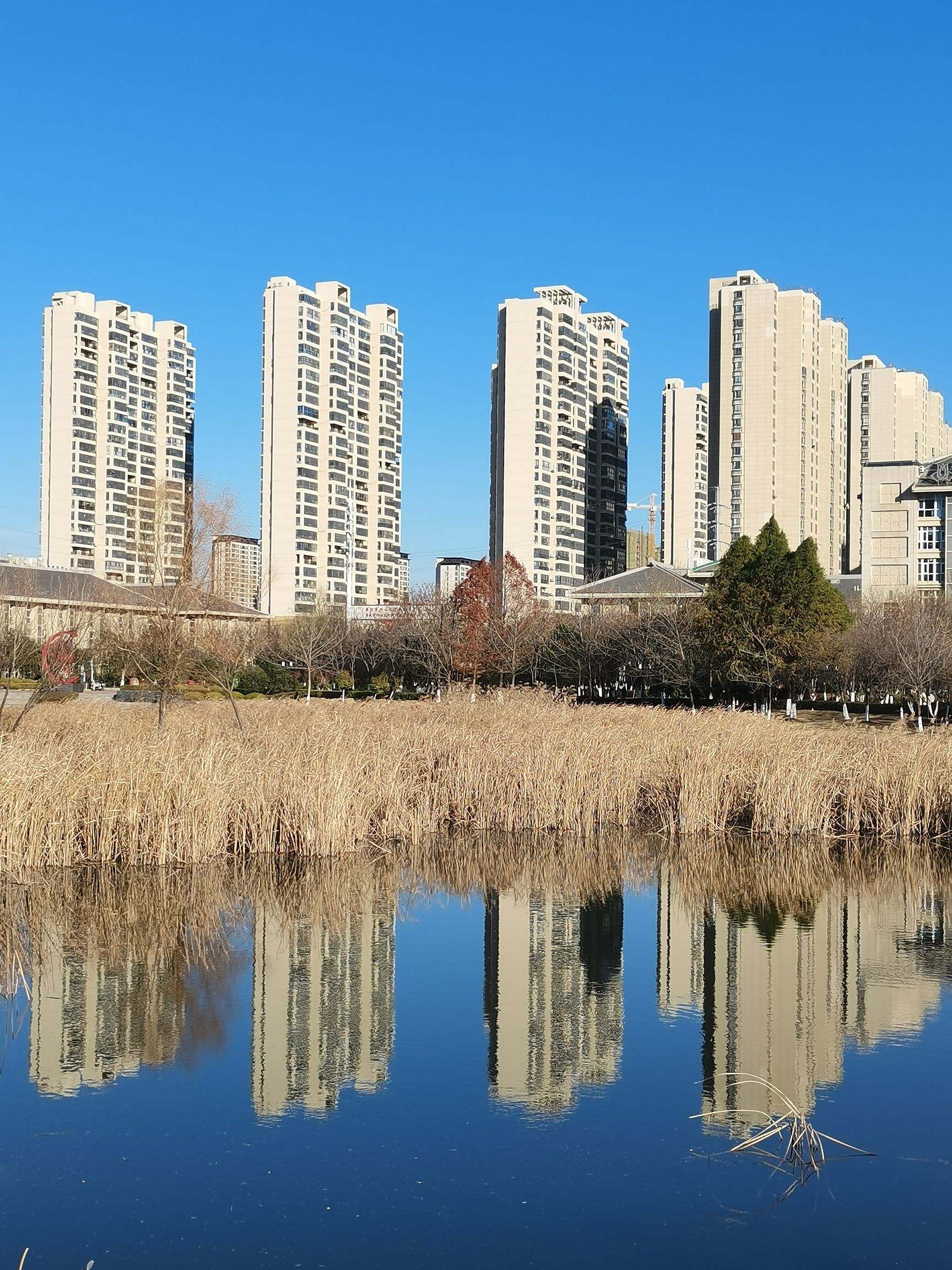 桓谭公园旅行图片 1