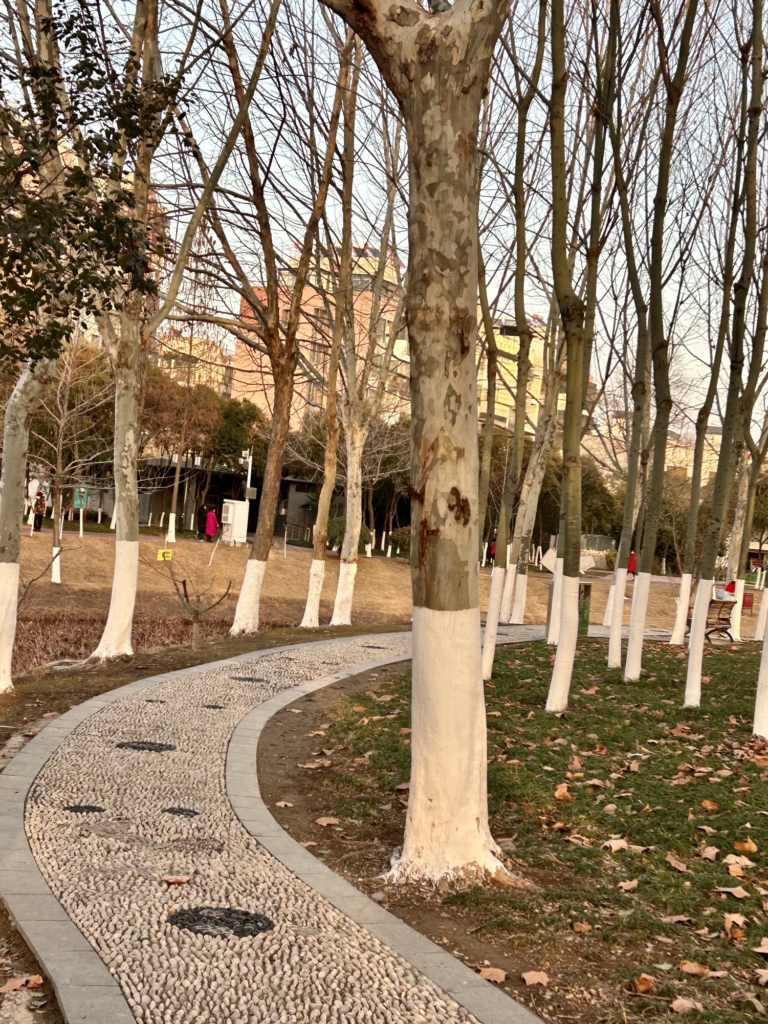 桓谭公园旅行图片 3