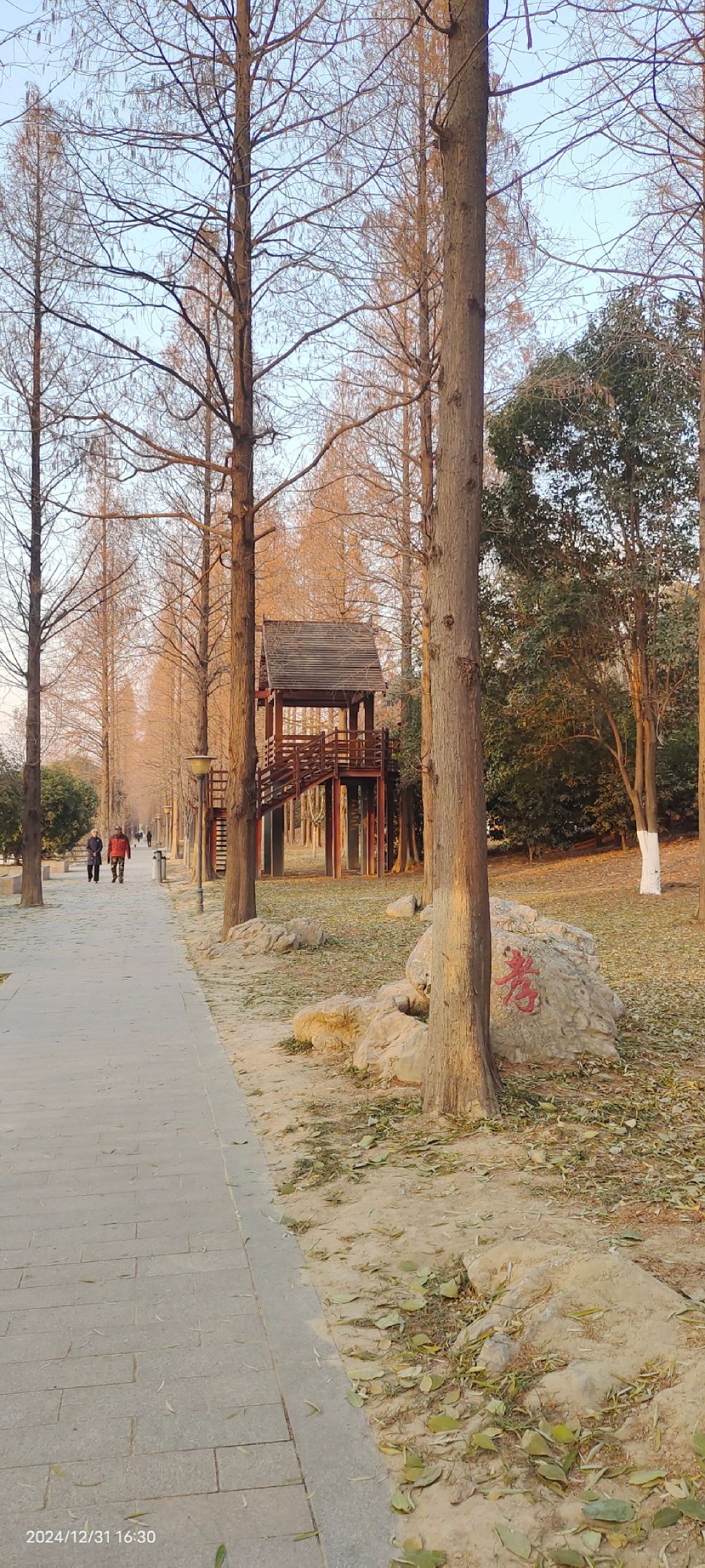 濉河公园旅行图片 1