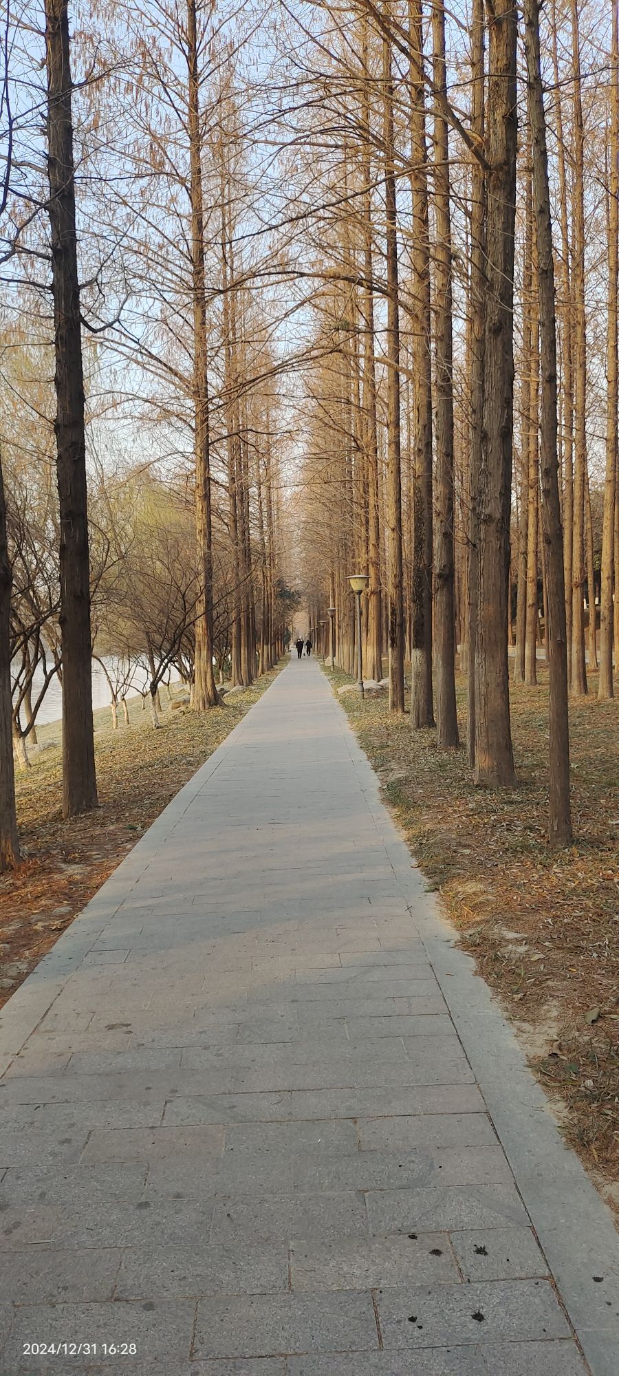 濉河公园旅行图片 3
