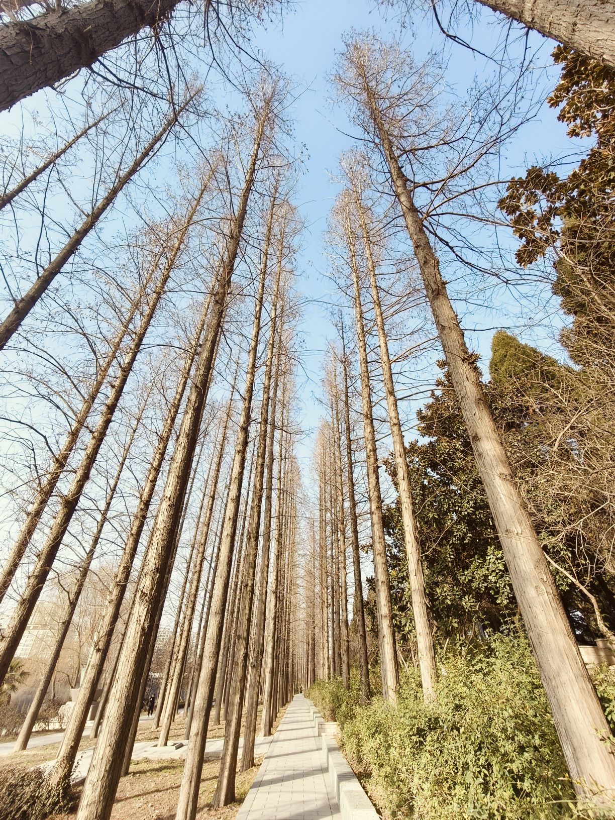 濉河公园