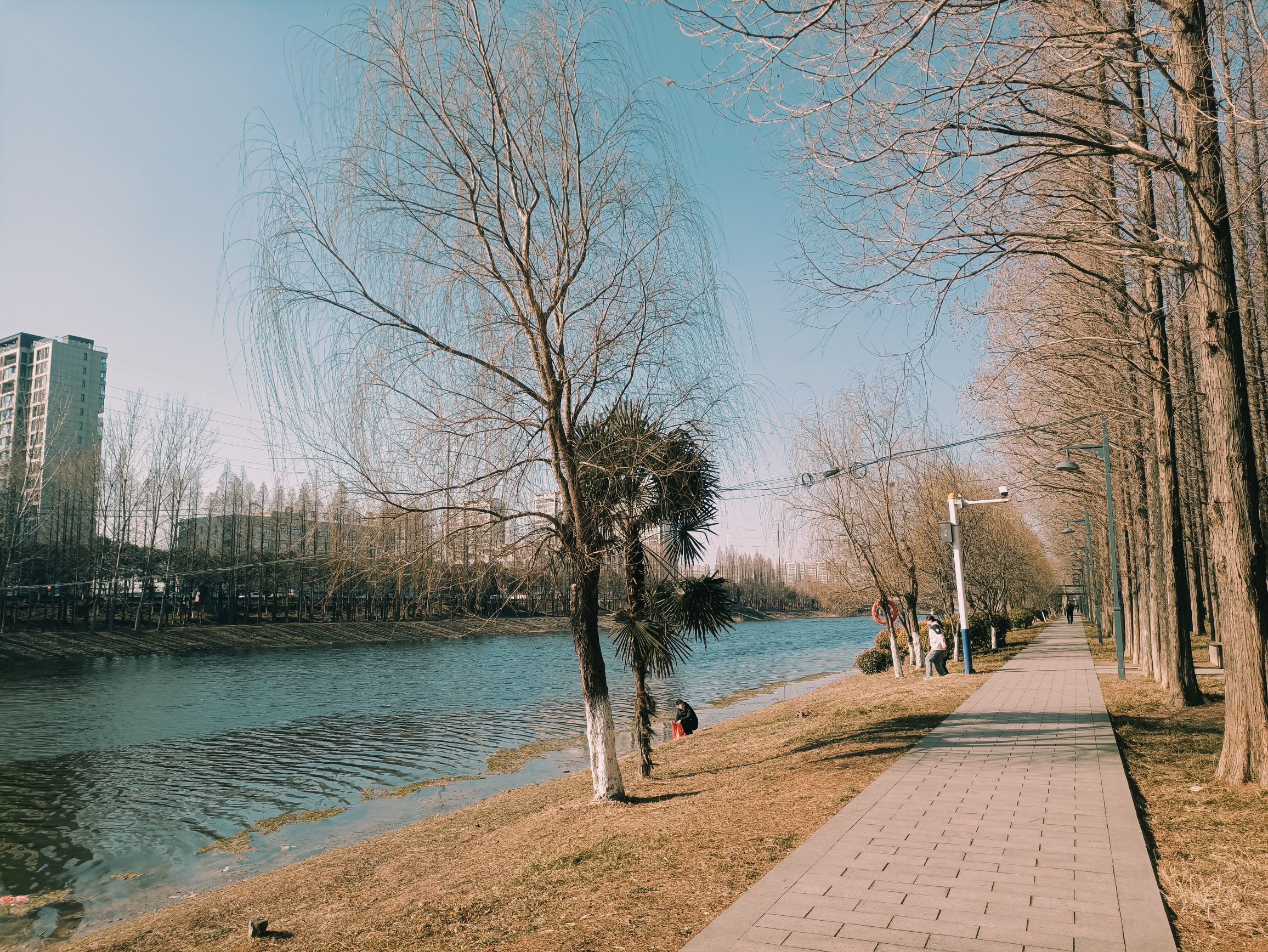 濉河公园旅行图片 2