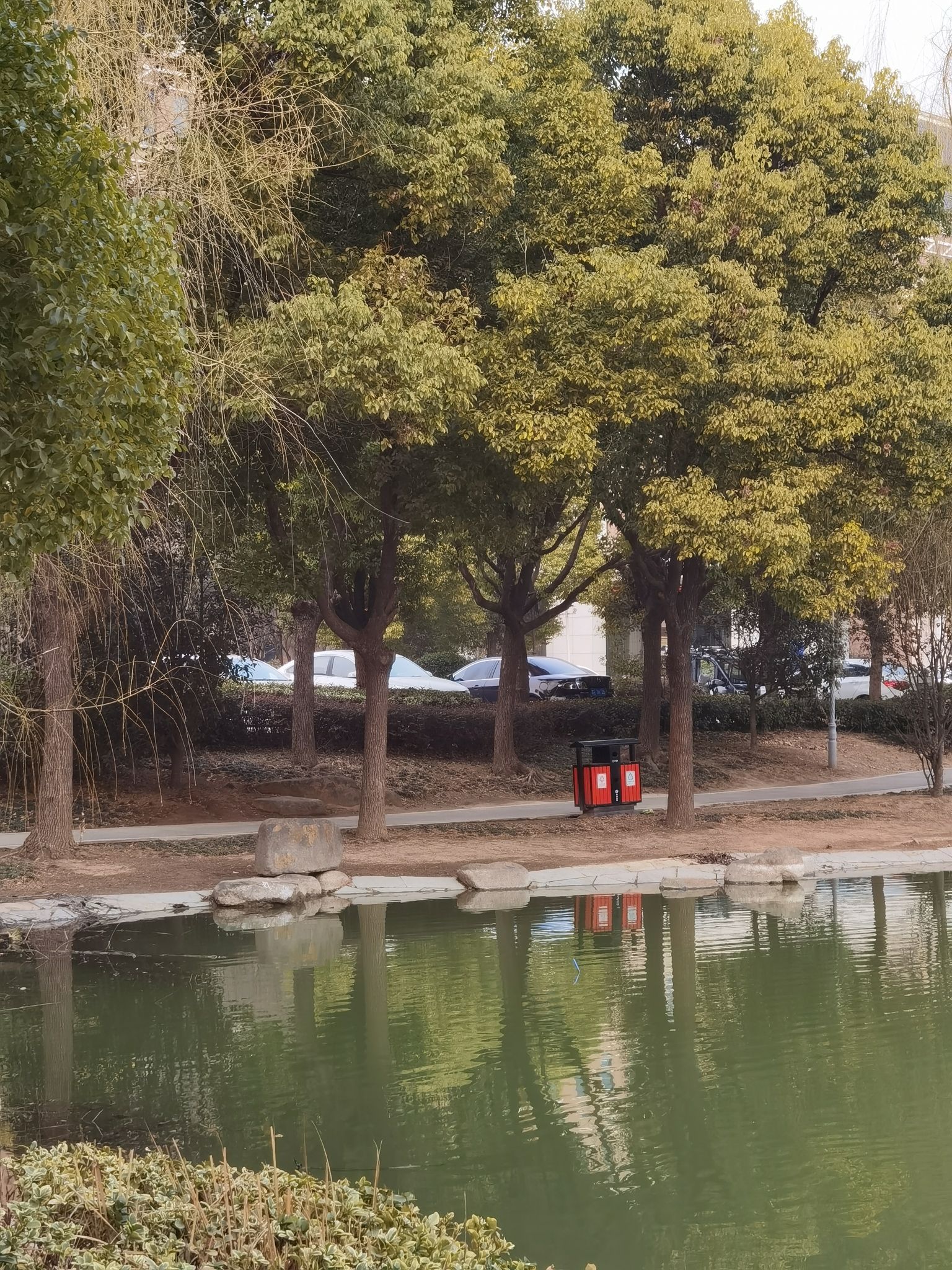 龙池公园旅行图片 1