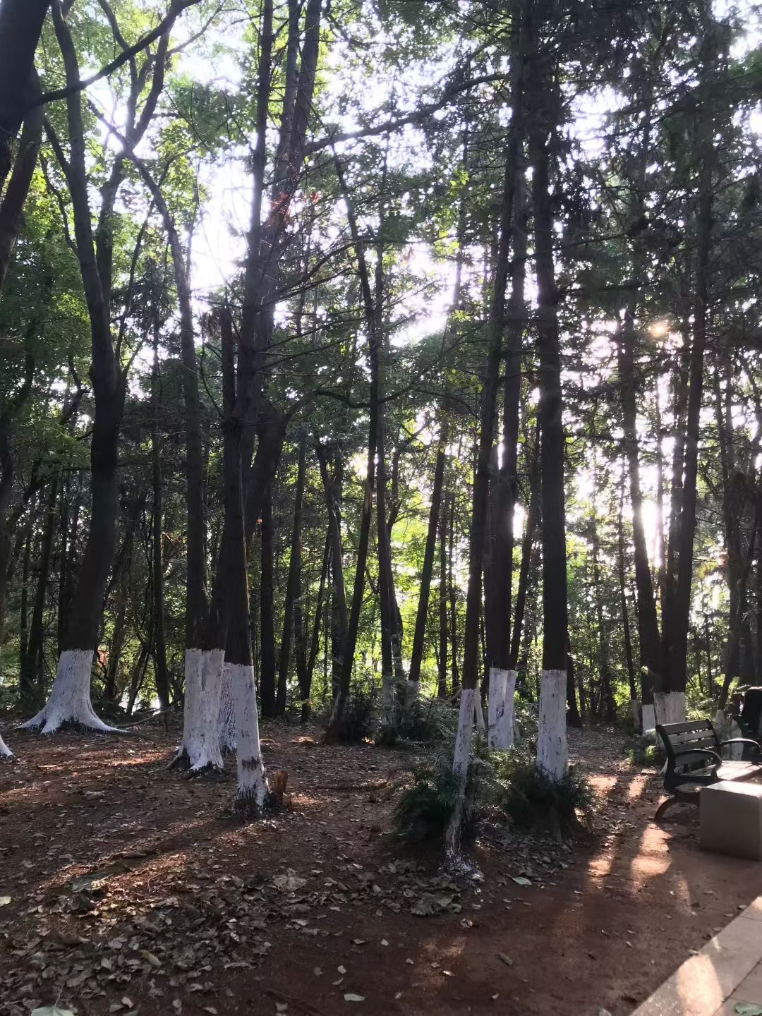 天井湖风景区旅行图片 3