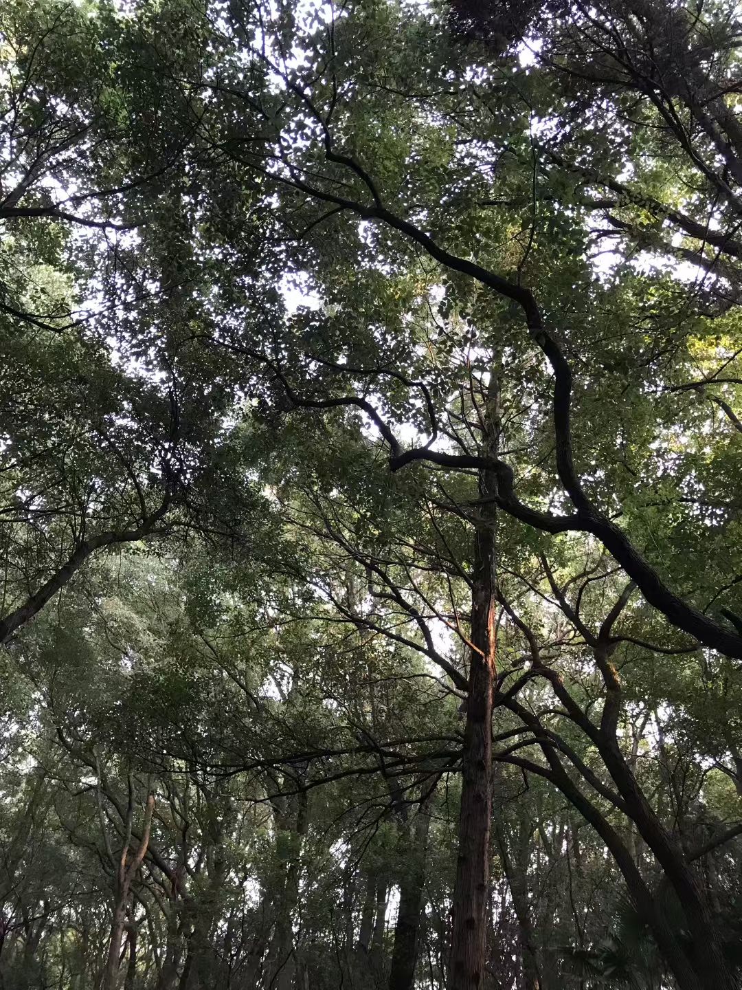 天井湖风景区旅行图片 2