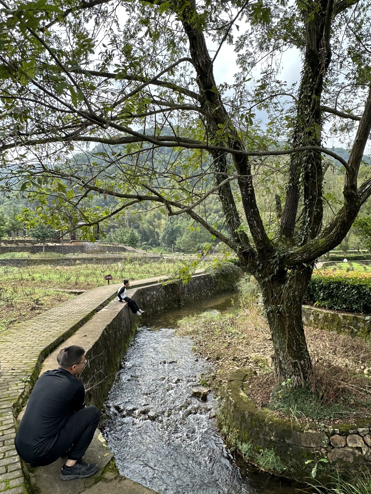 凤凰山景区旅行图片 1