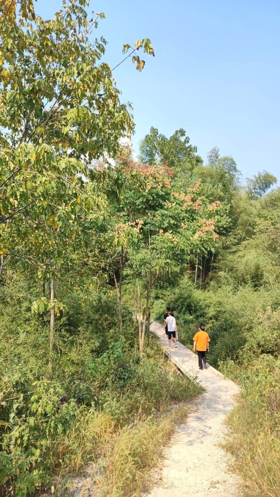 乌霞风景区旅行图片 3