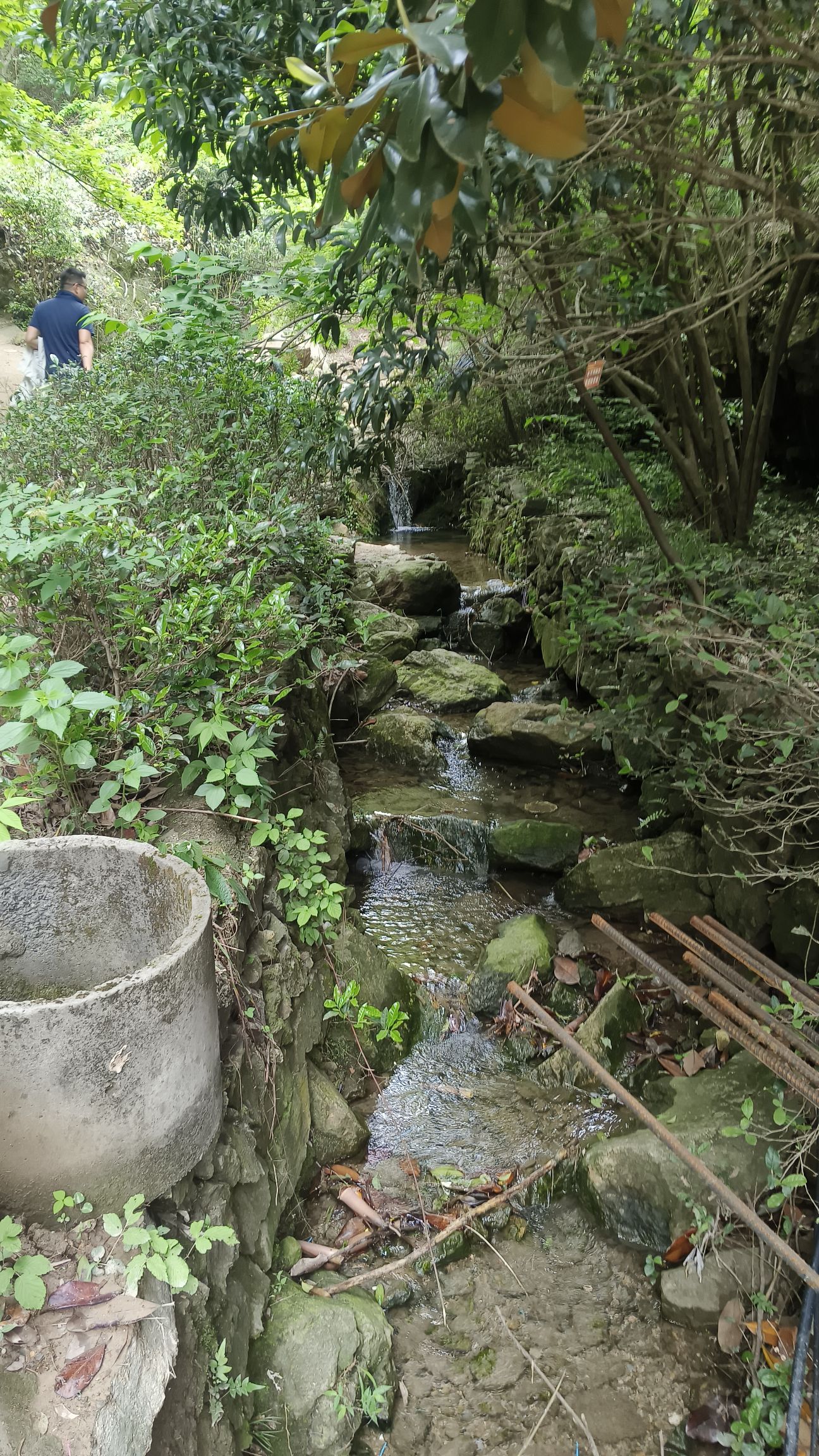 乌霞风景区旅行图片 3