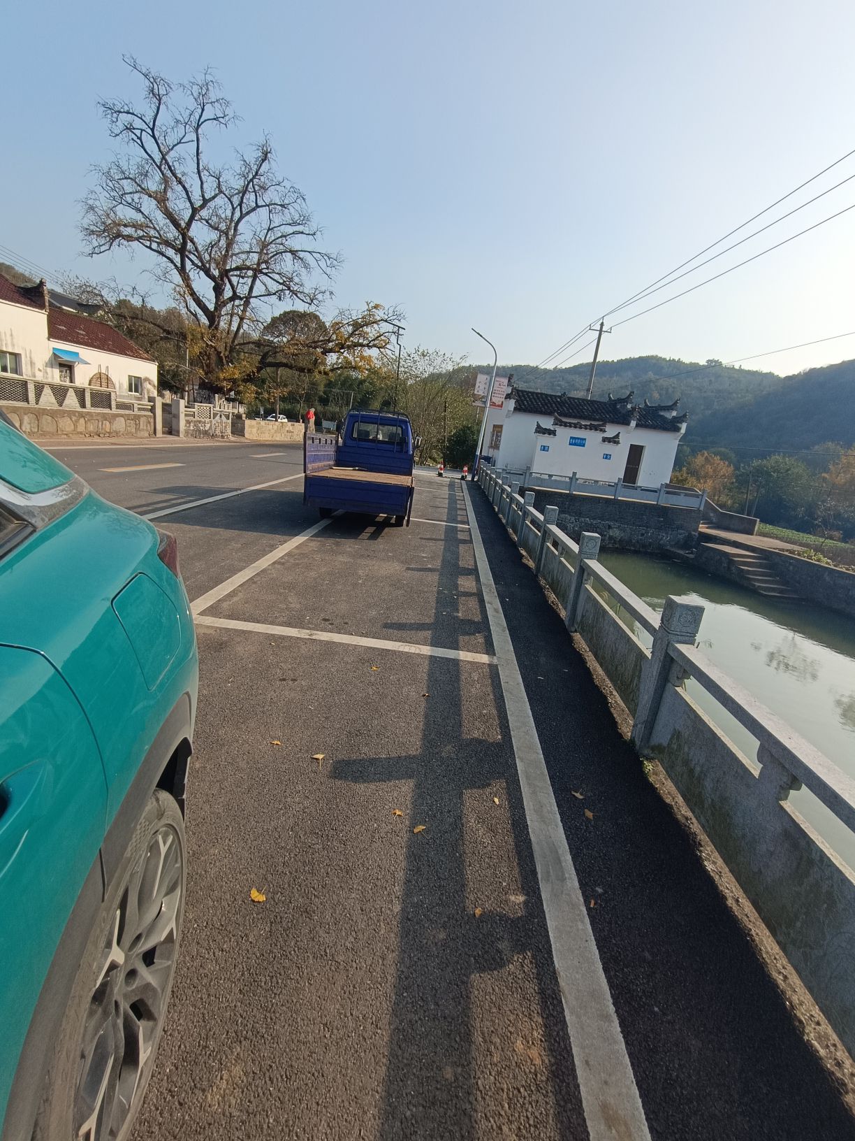 千年银杏王旅行图片 2