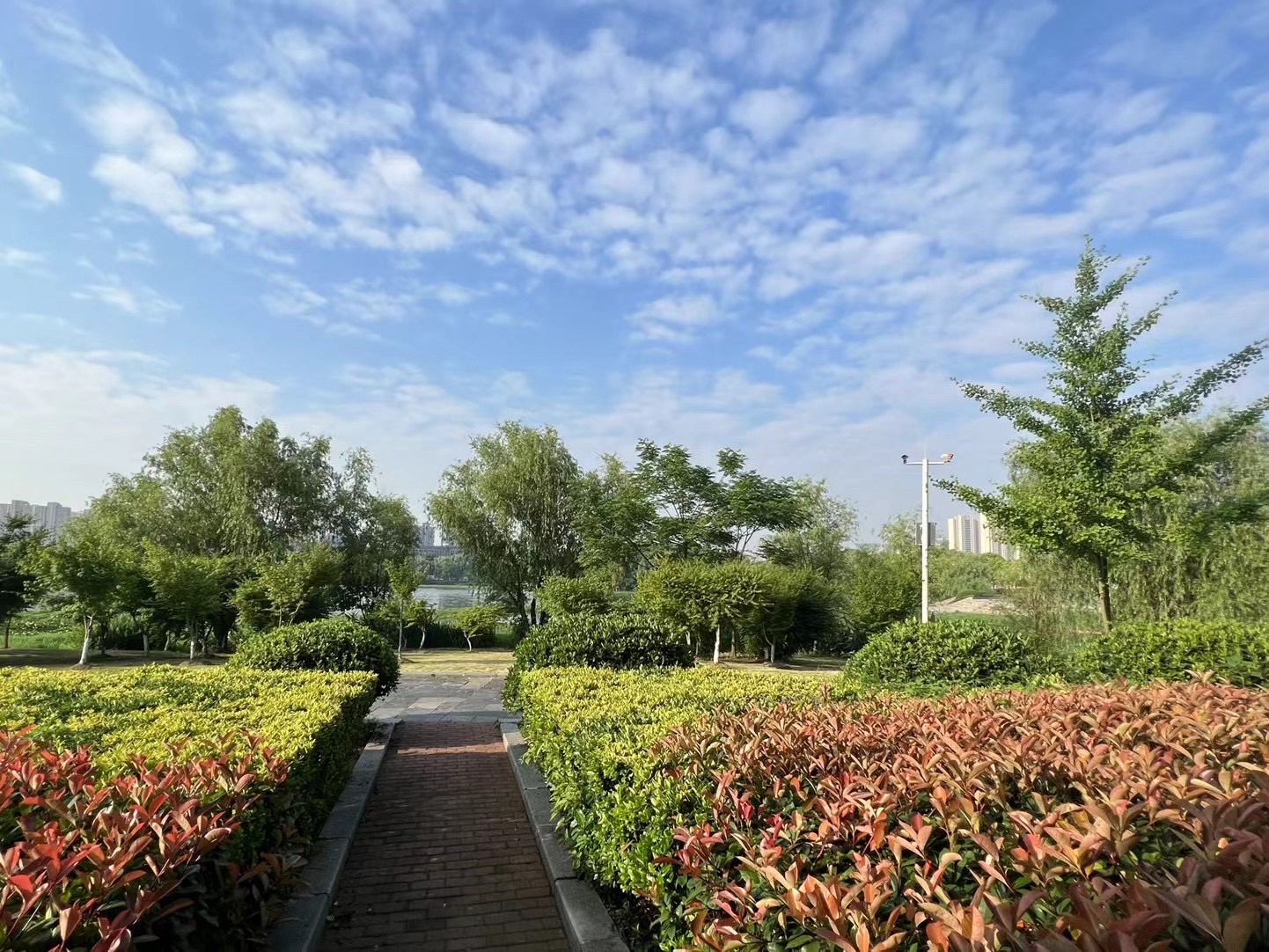 翠湖公园旅行图片 2