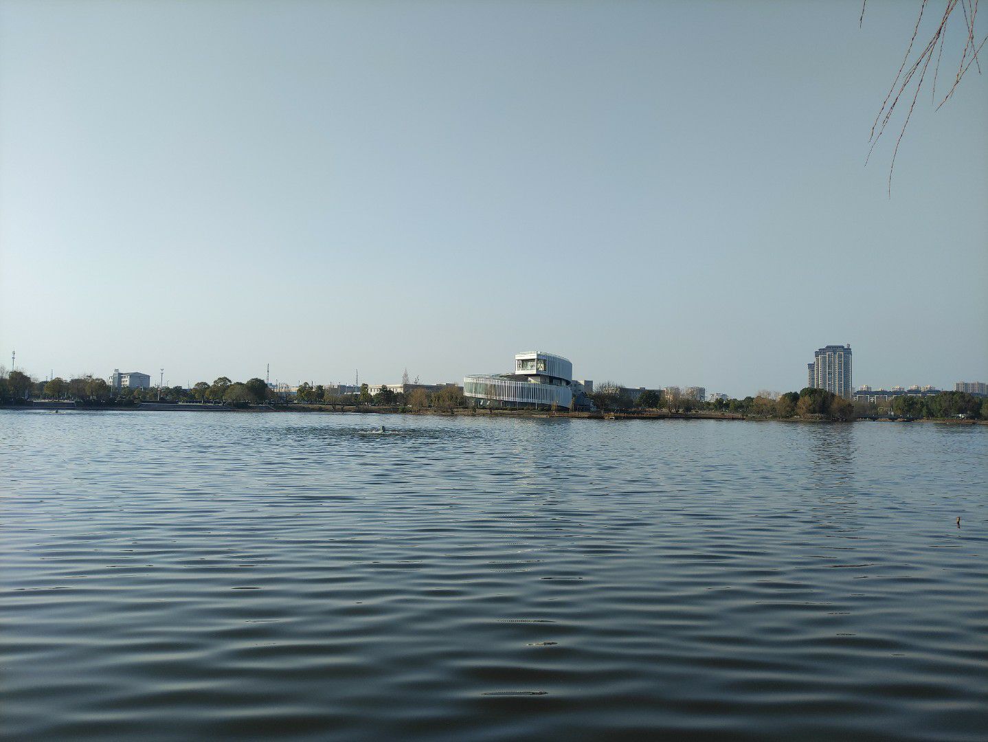 翠湖公园旅行图片 3