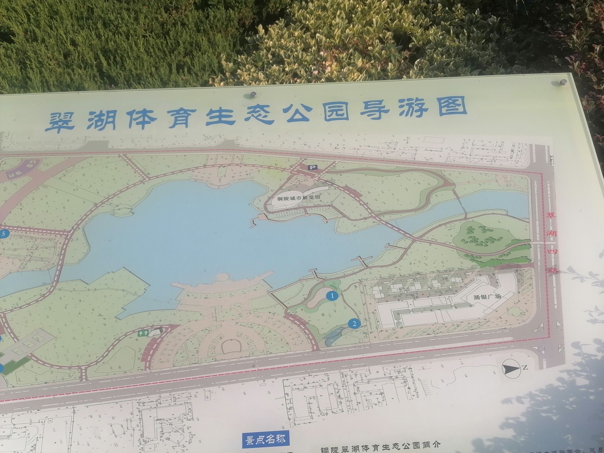 翠湖公园旅行图片 1