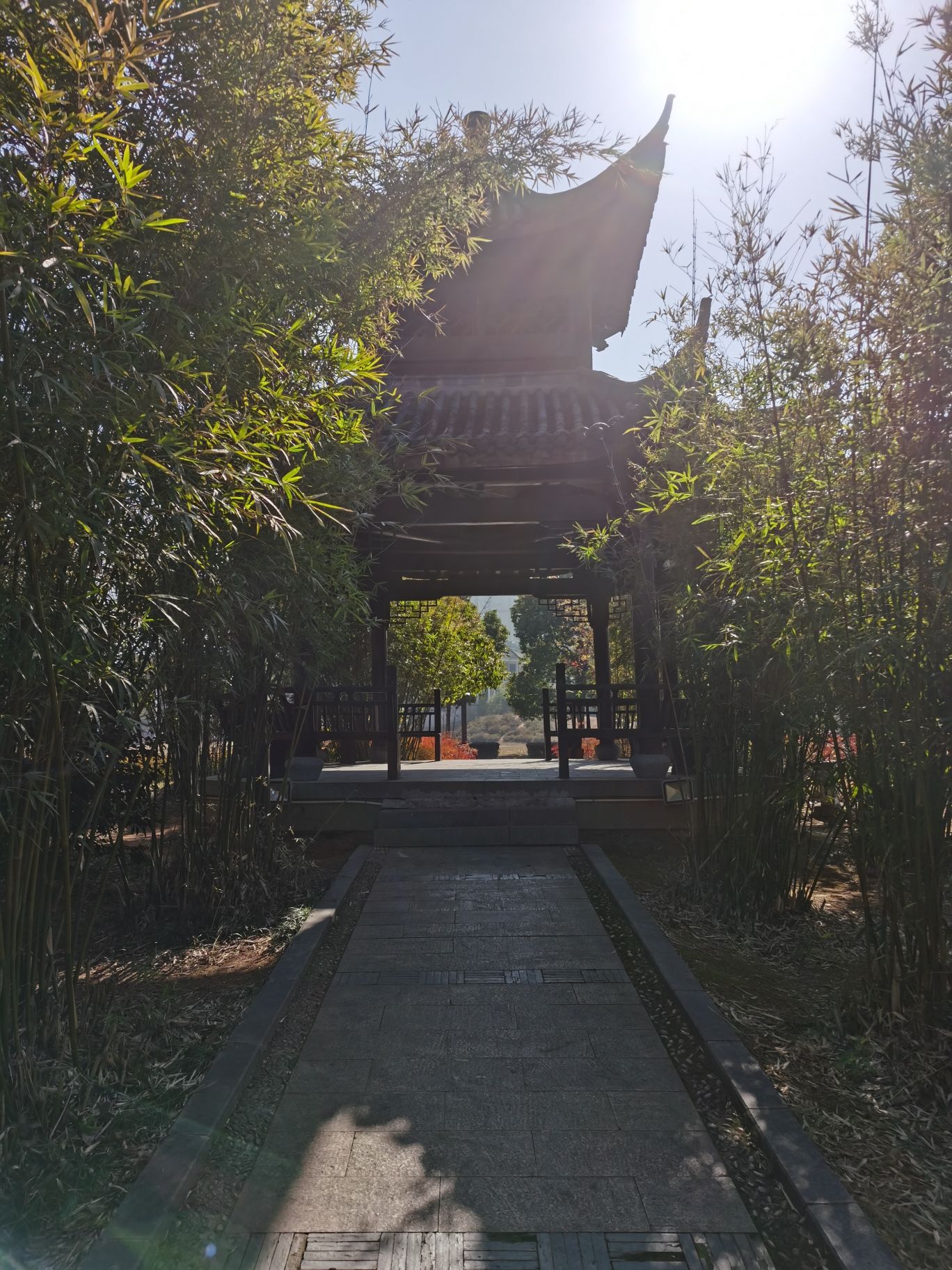 宁阳公园旅行图片 3