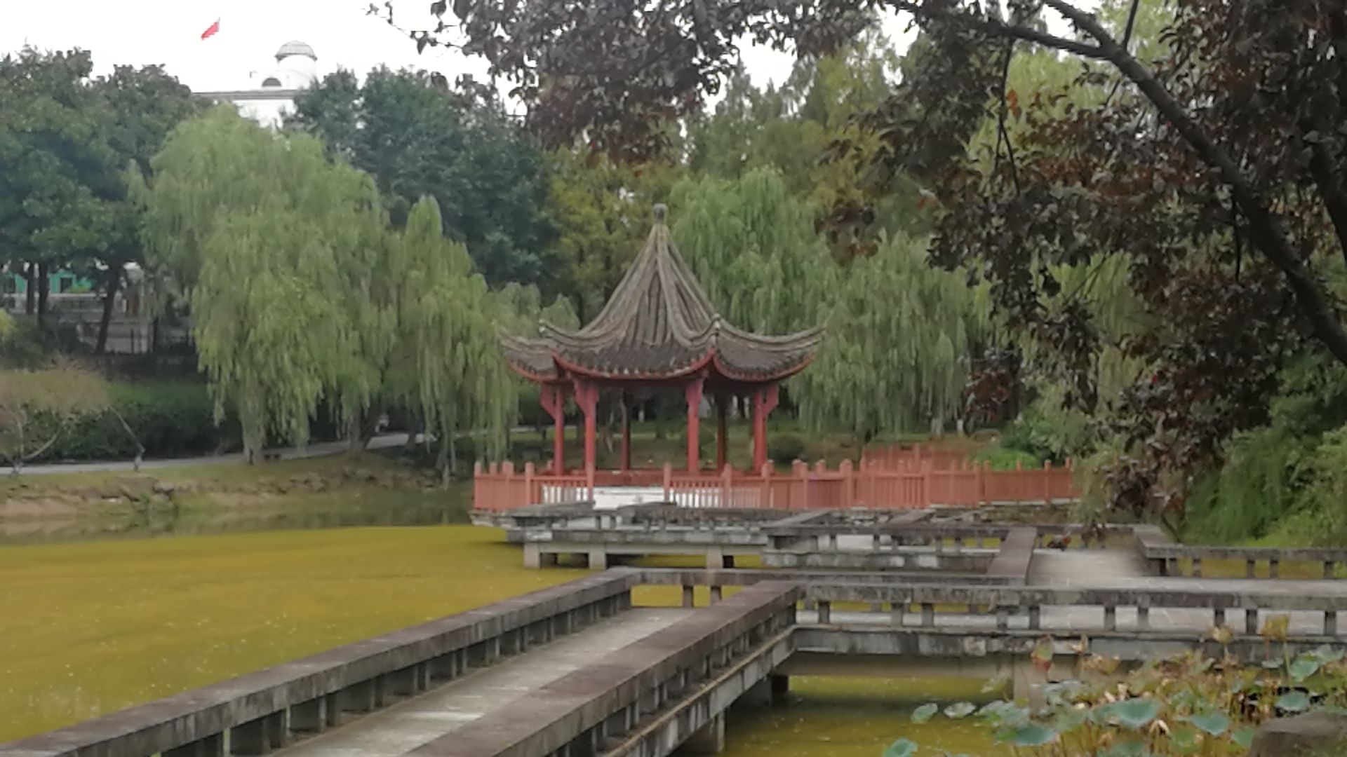 鳌峰公园旅行图片 3