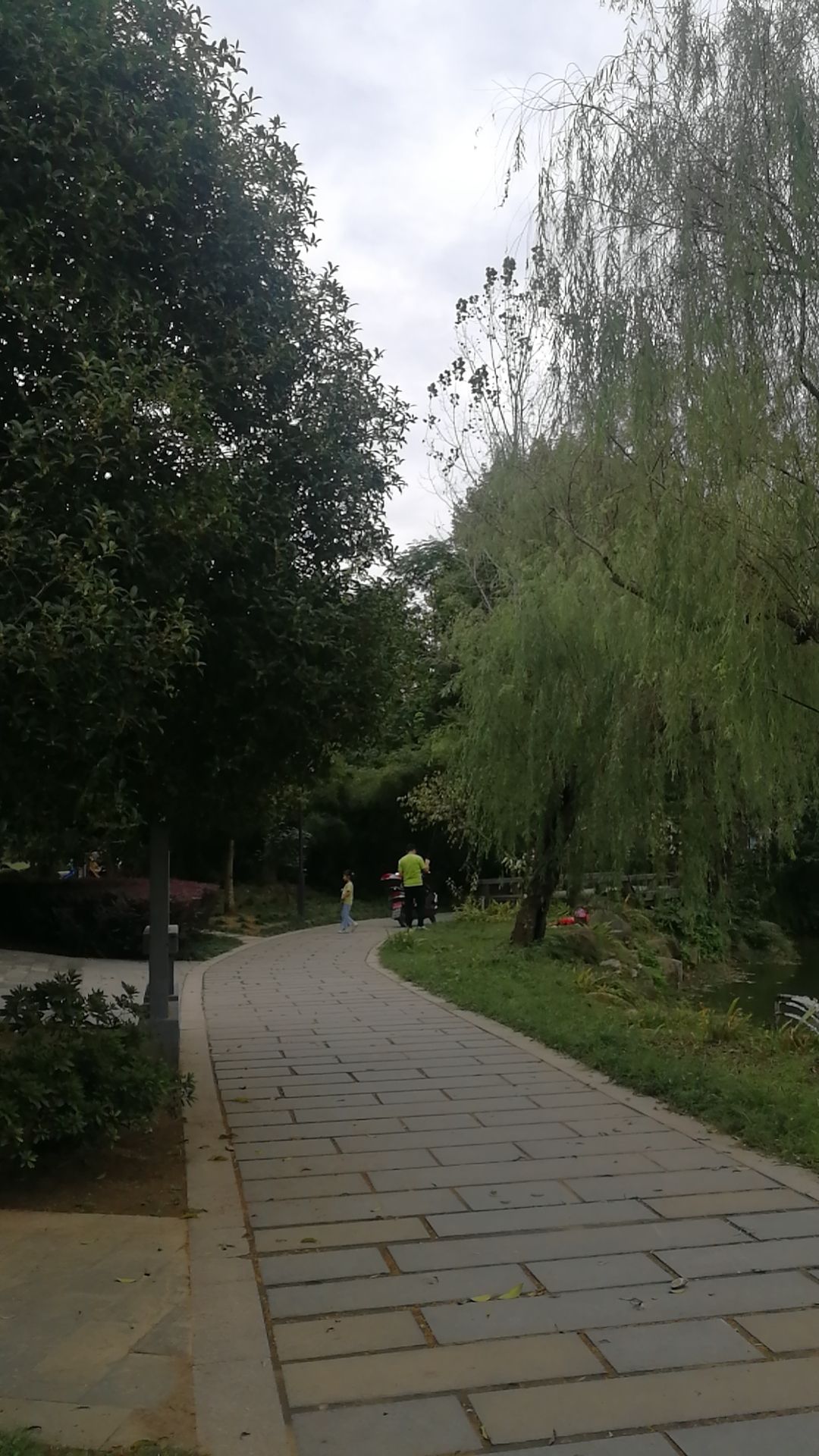 鳌峰公园旅行图片 1