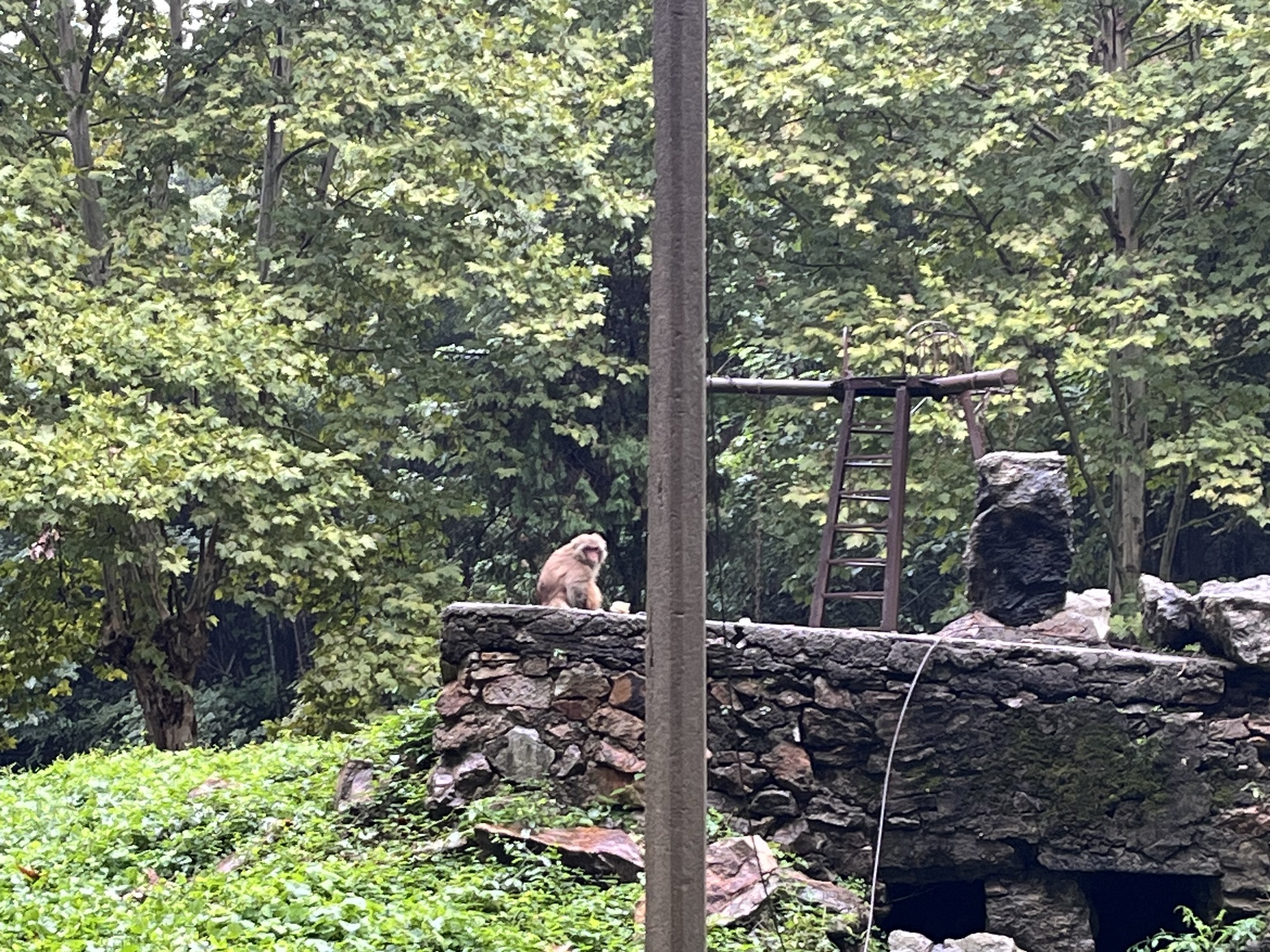 中国鳄鱼湖旅行图片 1