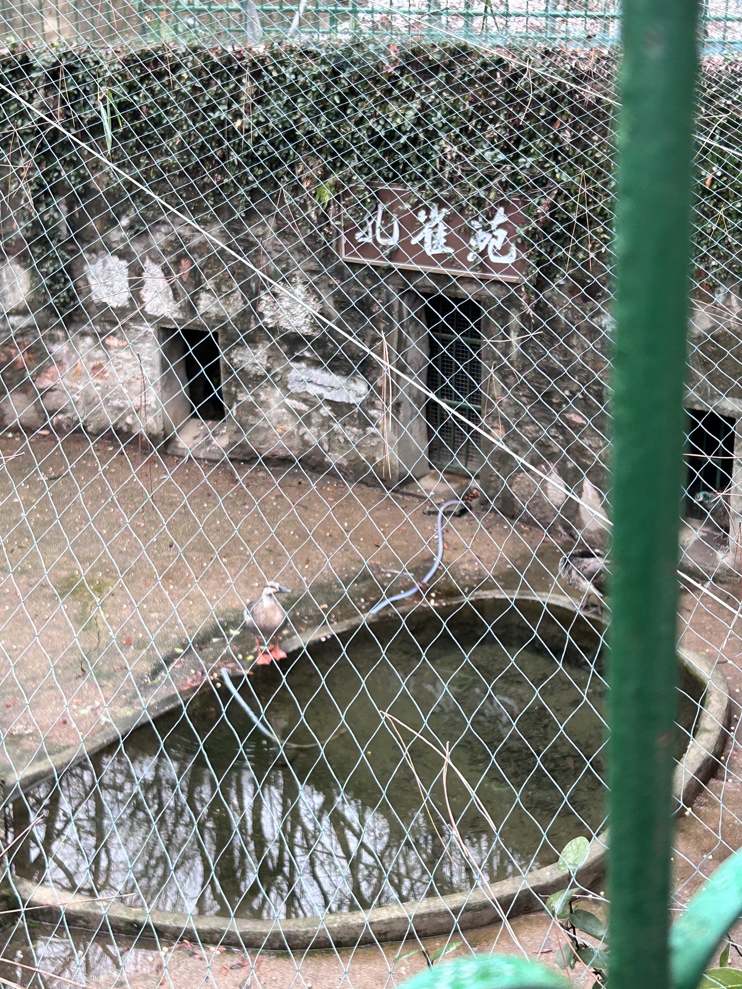中国鳄鱼湖旅行图片 2
