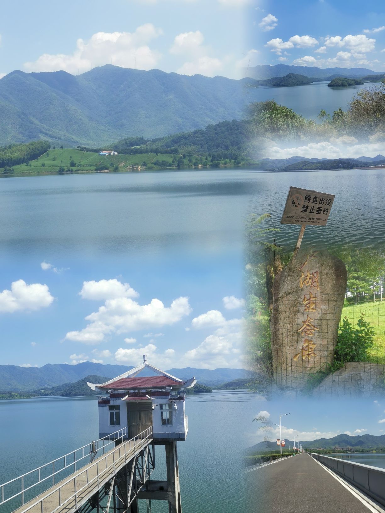 卢湖竹海水利风景区旅行图片 1