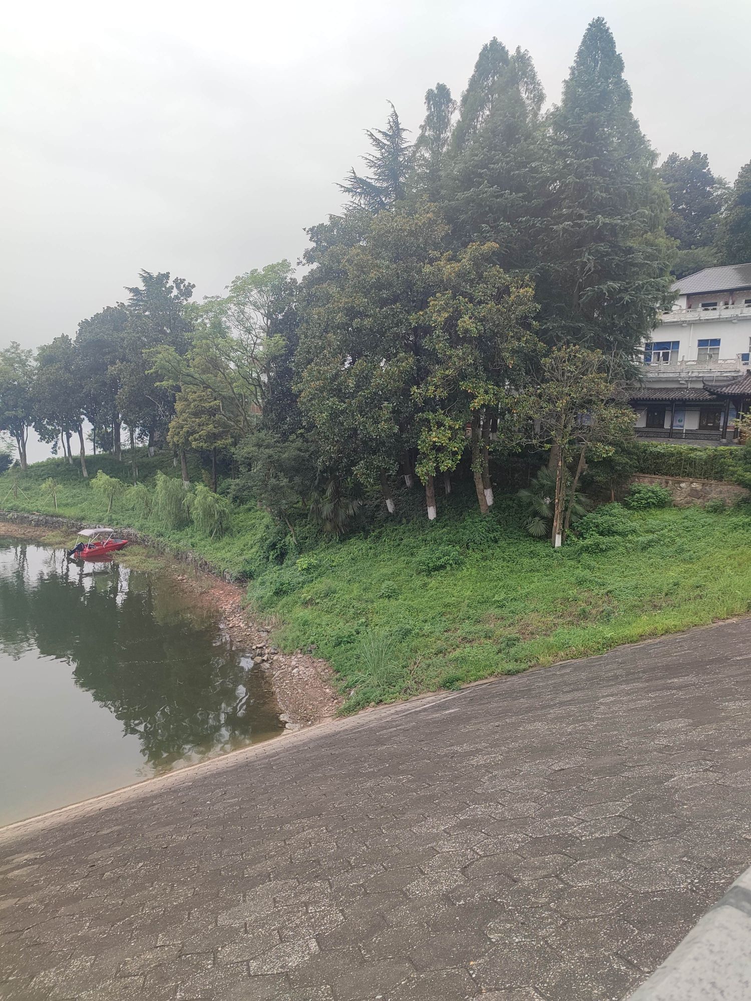 卢湖竹海水利风景区旅行图片 3