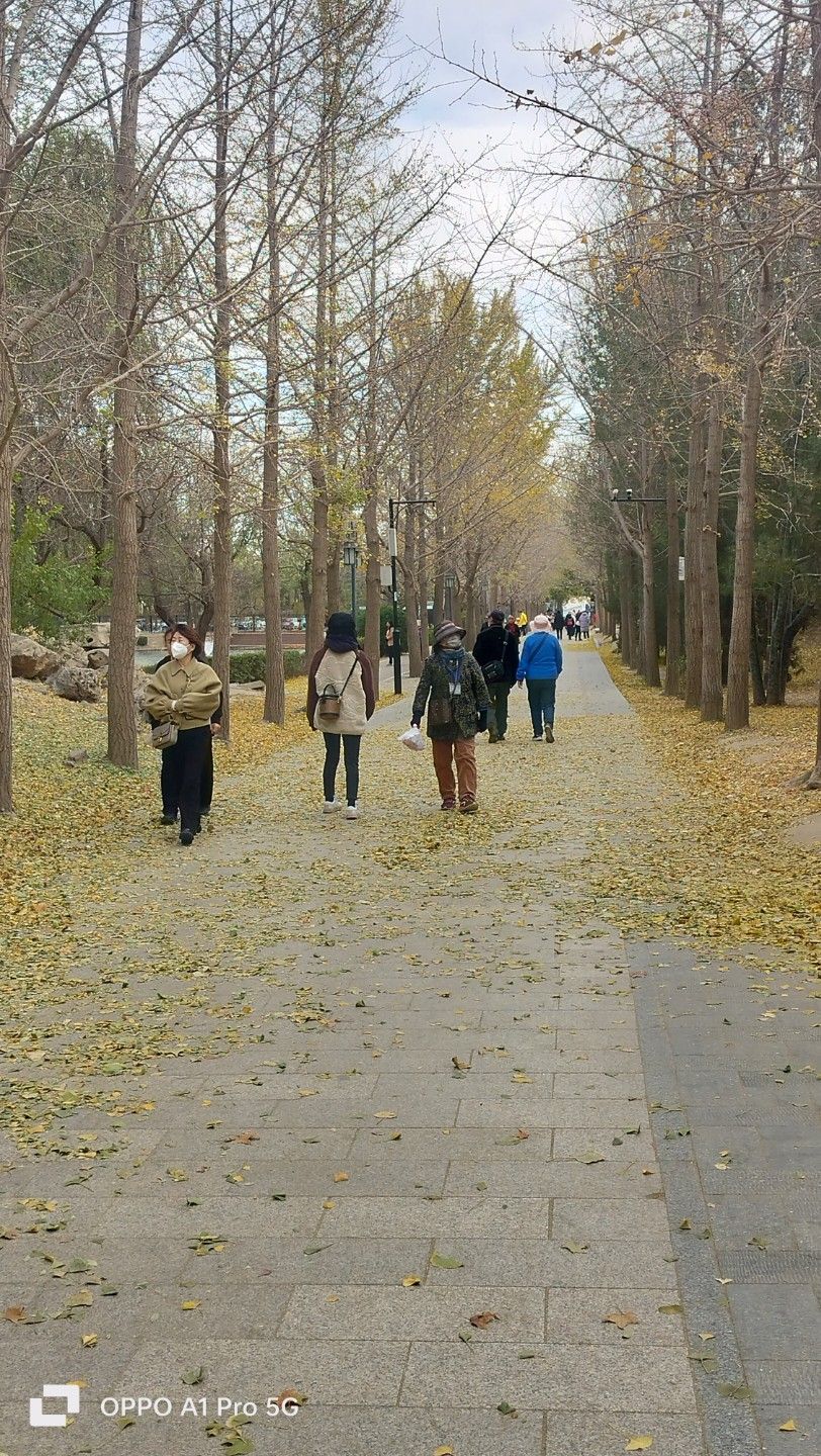 桃姑迷宫旅行图片 2