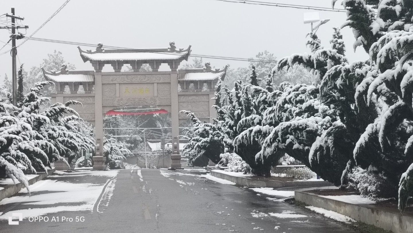 桃姑迷宫旅行图片 1