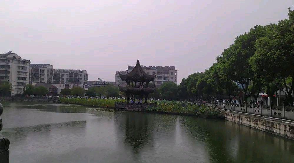 荷花塘旅行图片 2