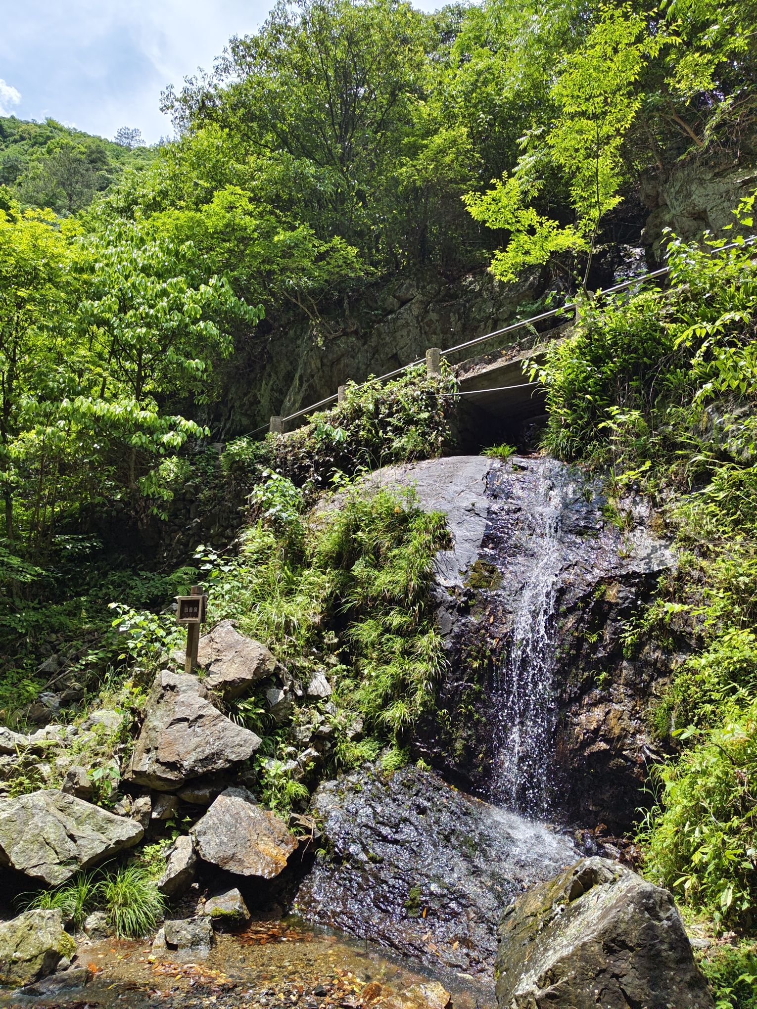 夏霖风景区旅行图片 2