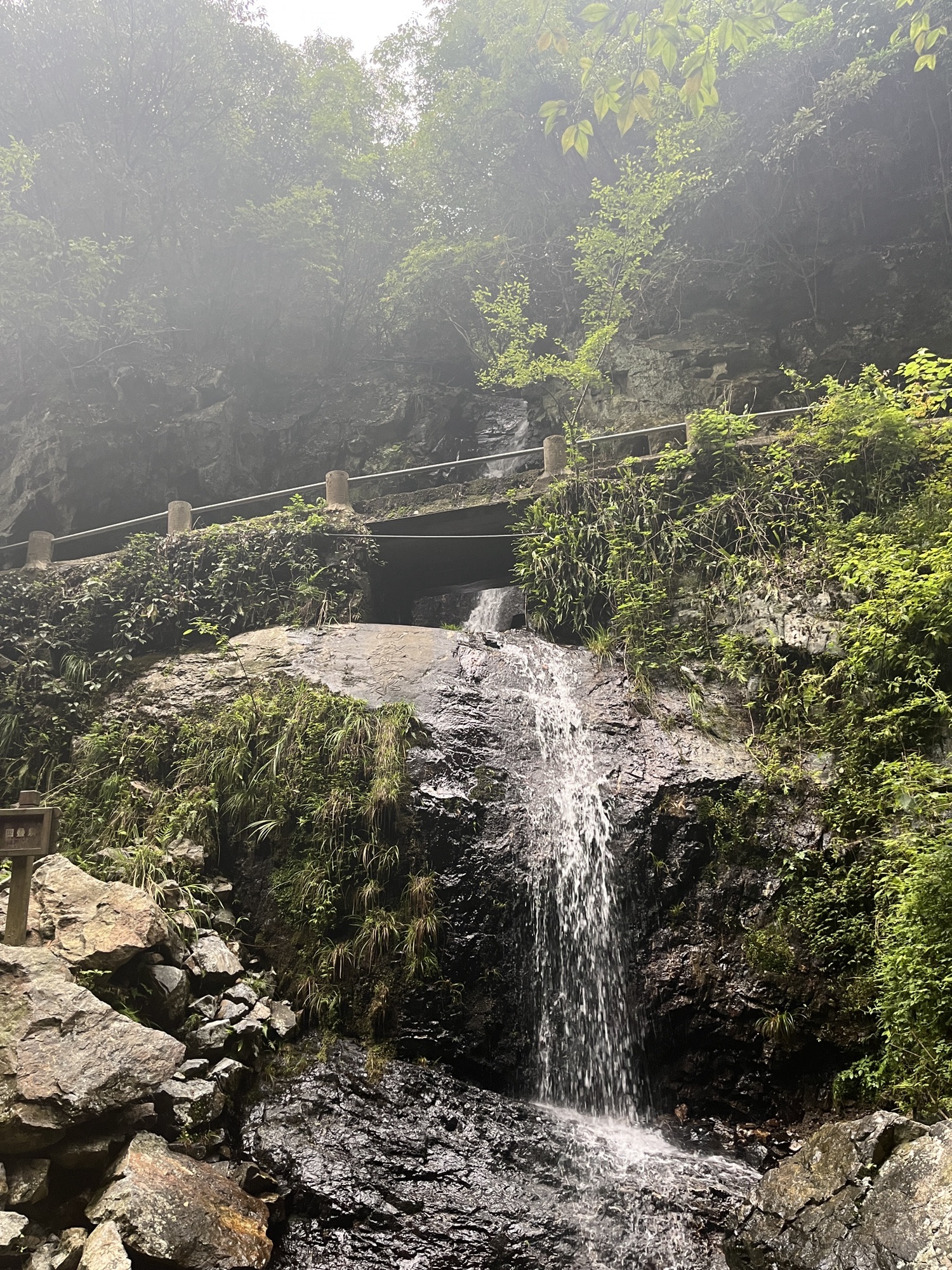 夏霖风景区旅行图片 3