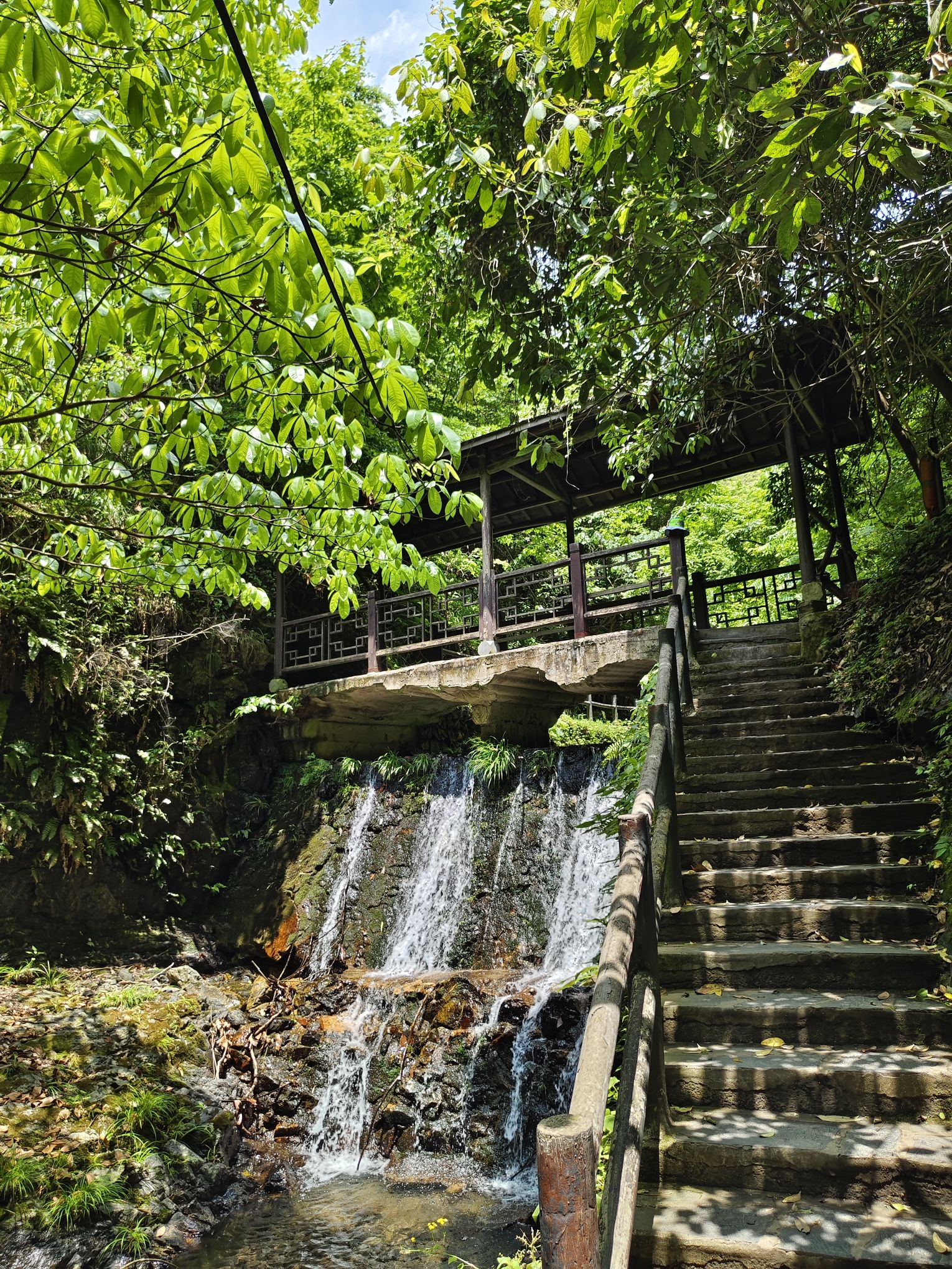 夏霖风景区旅行图片 3