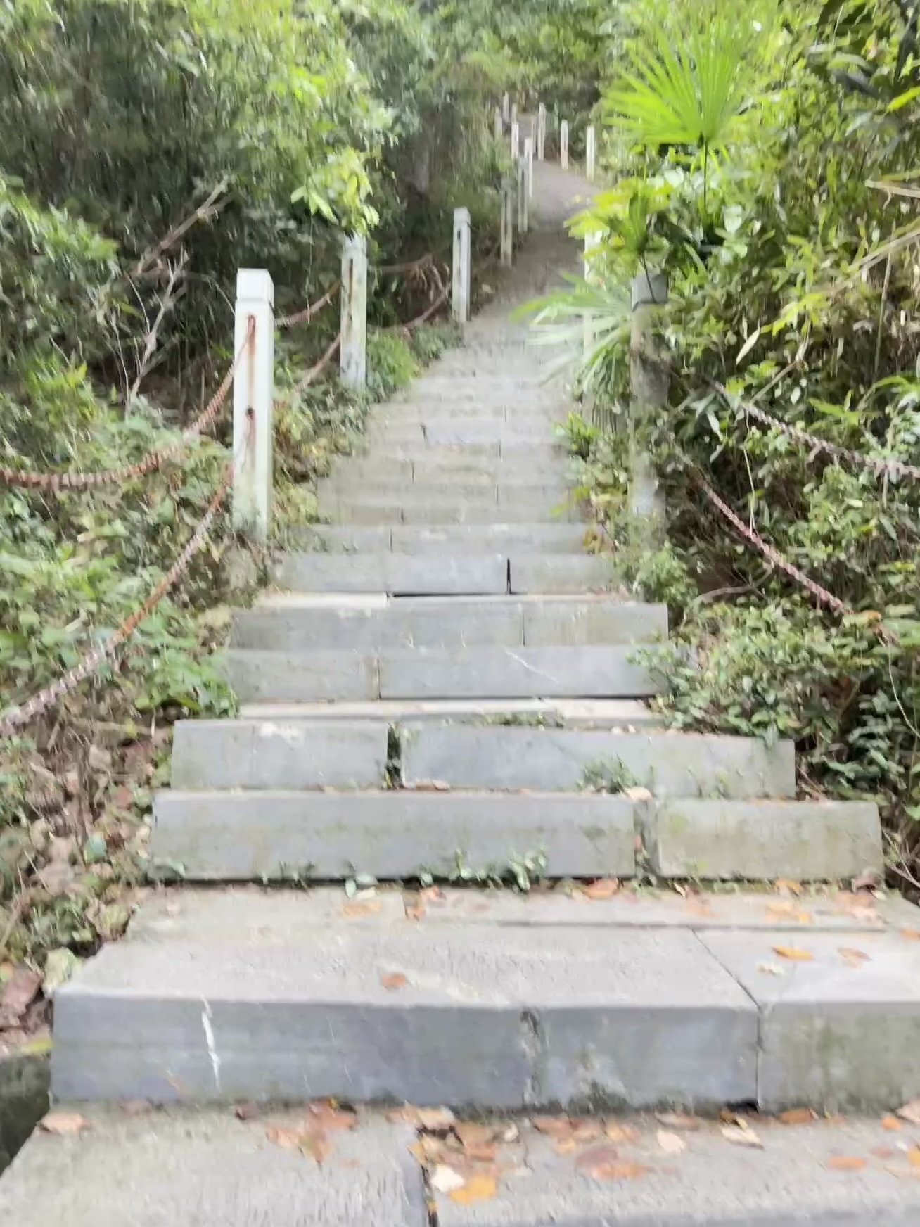 敬亭山风景名胜区旅行图片 1