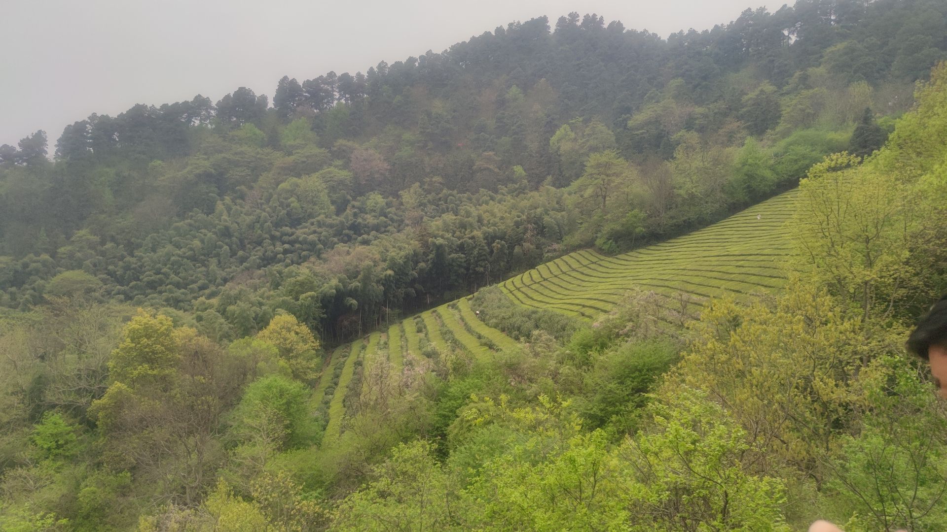 敬亭山风景名胜区旅行图片 2