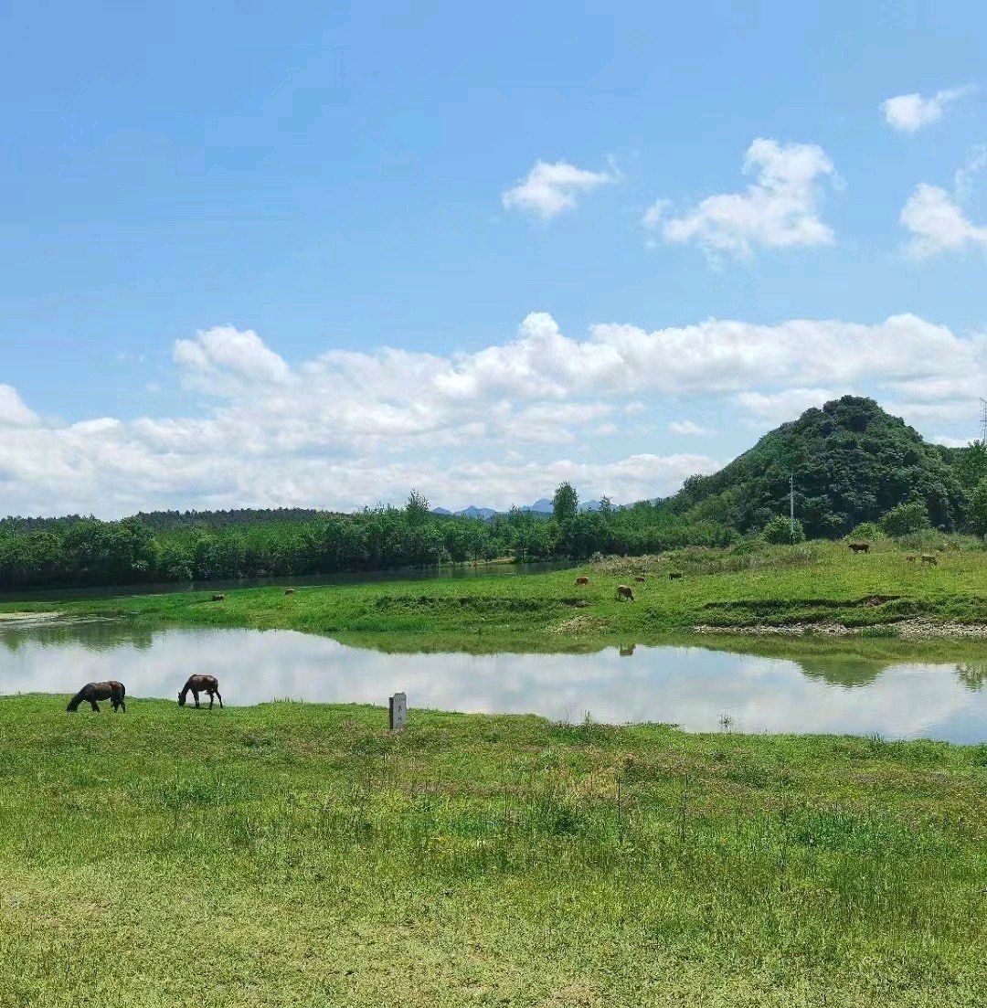桃园滩旅行图片 1