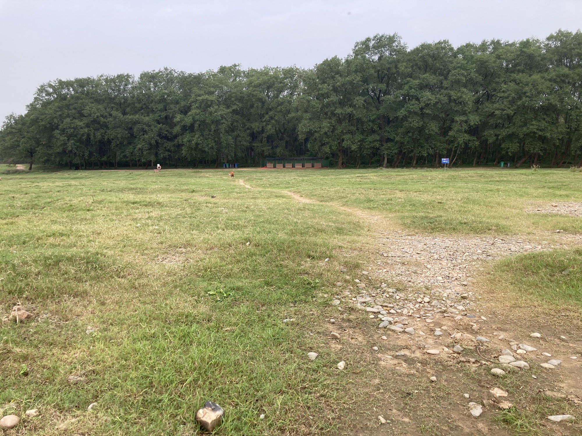 桃园滩旅行图片 1