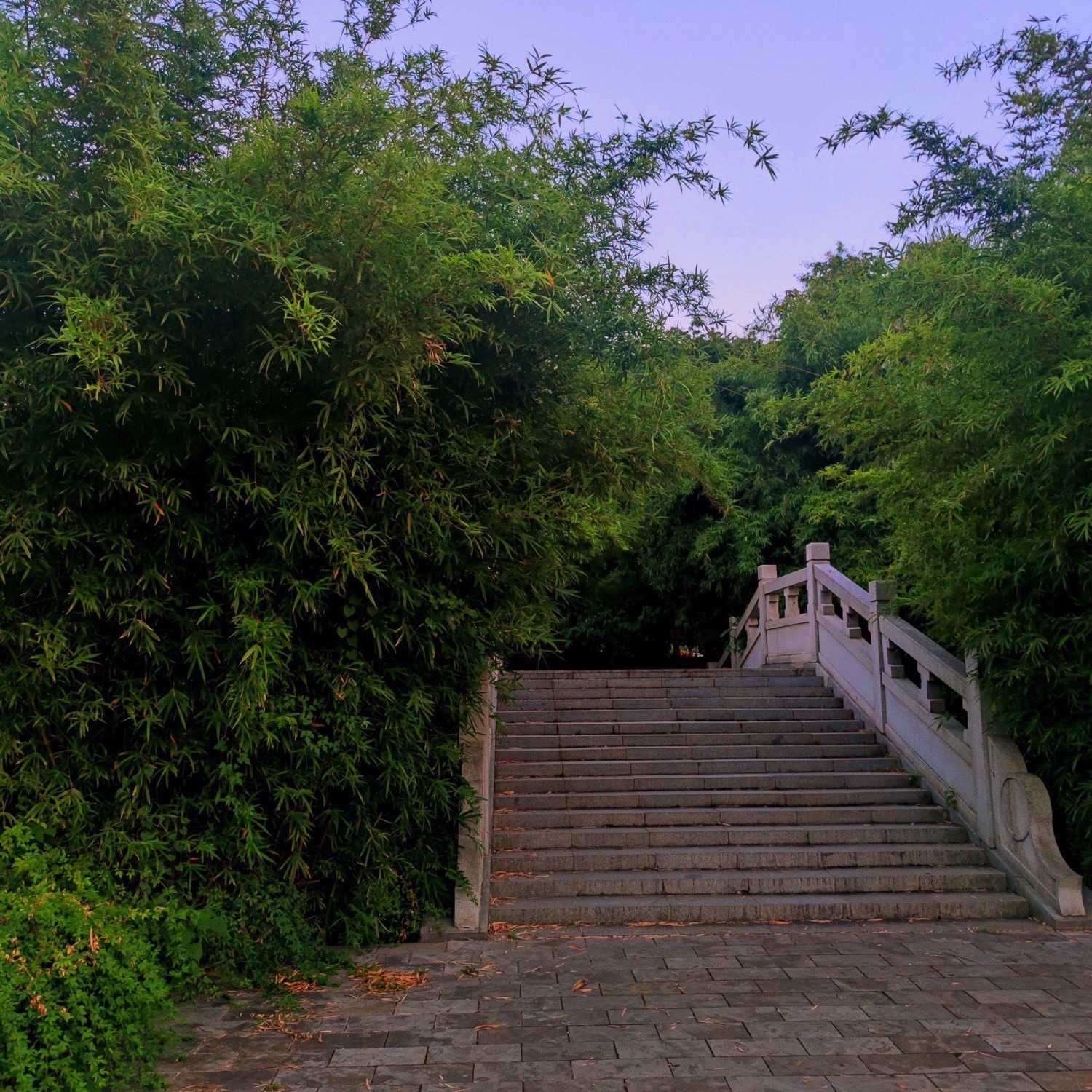 明代城墙公园旅行图片 3