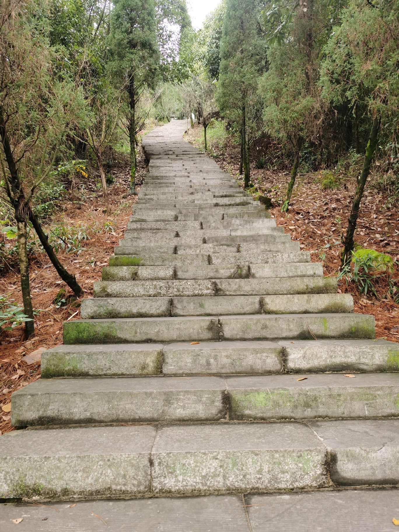 聚龙山公园旅行图片 3