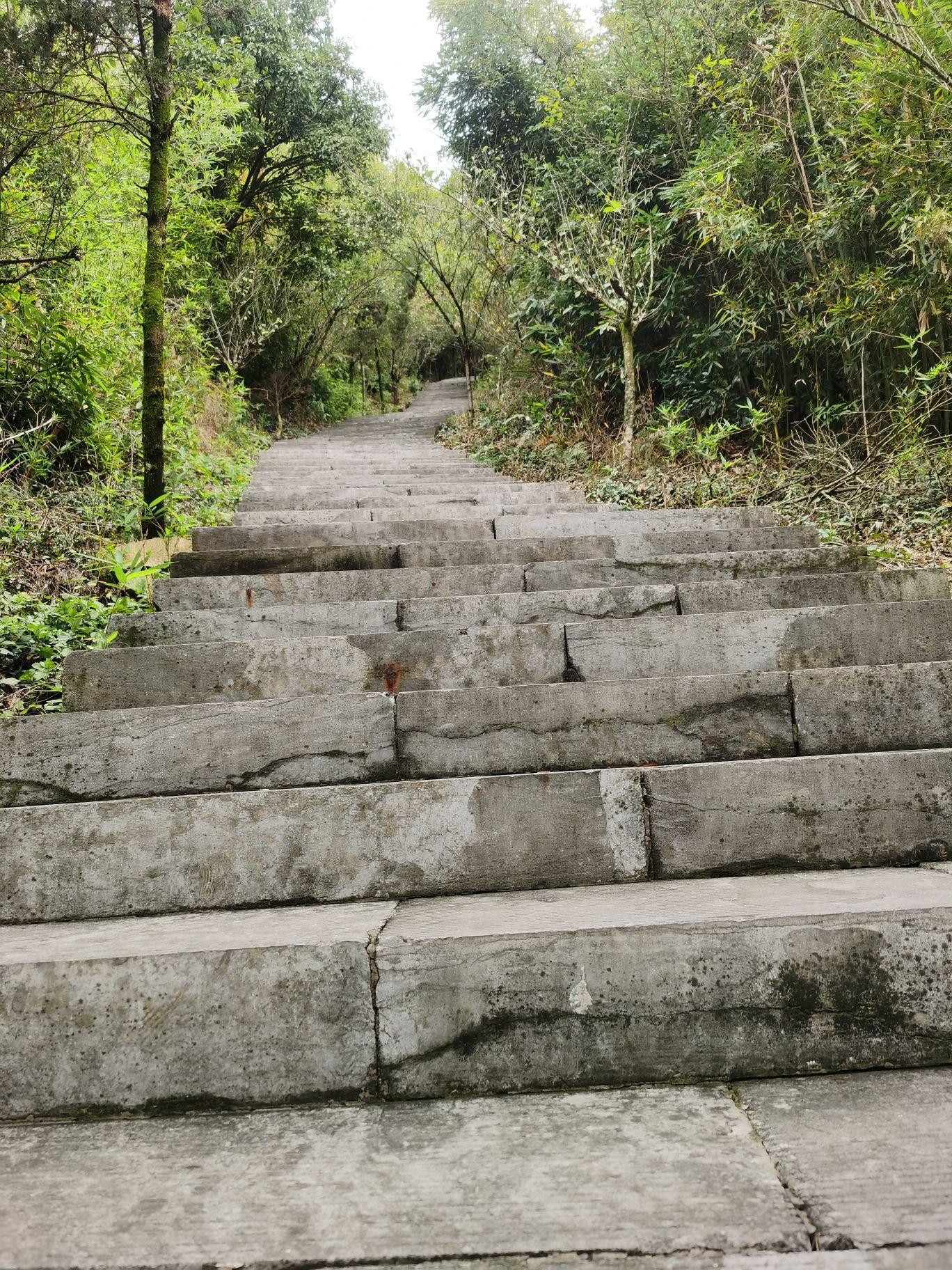 聚龙山公园旅行图片 1